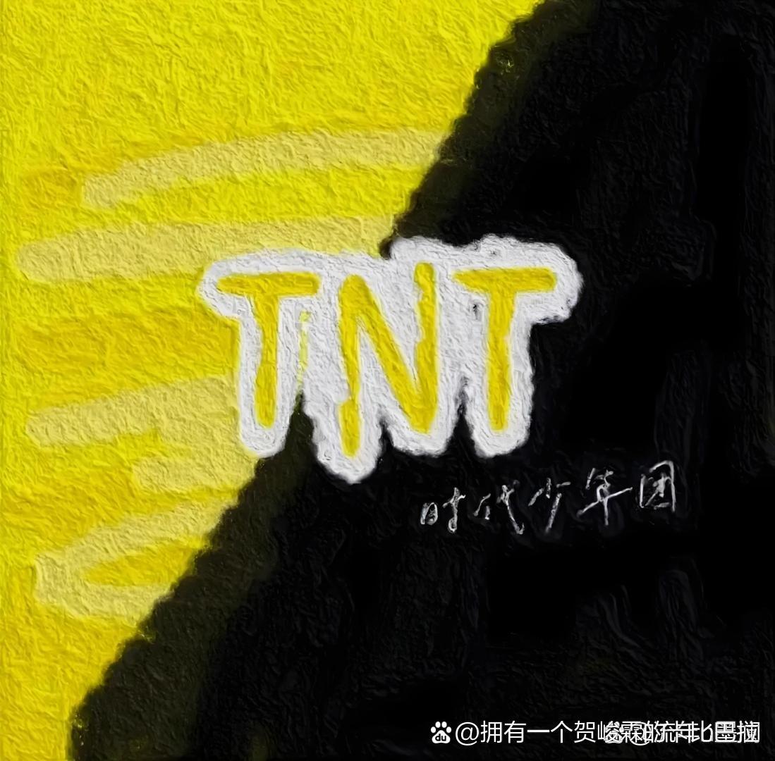 tnt个人应援色