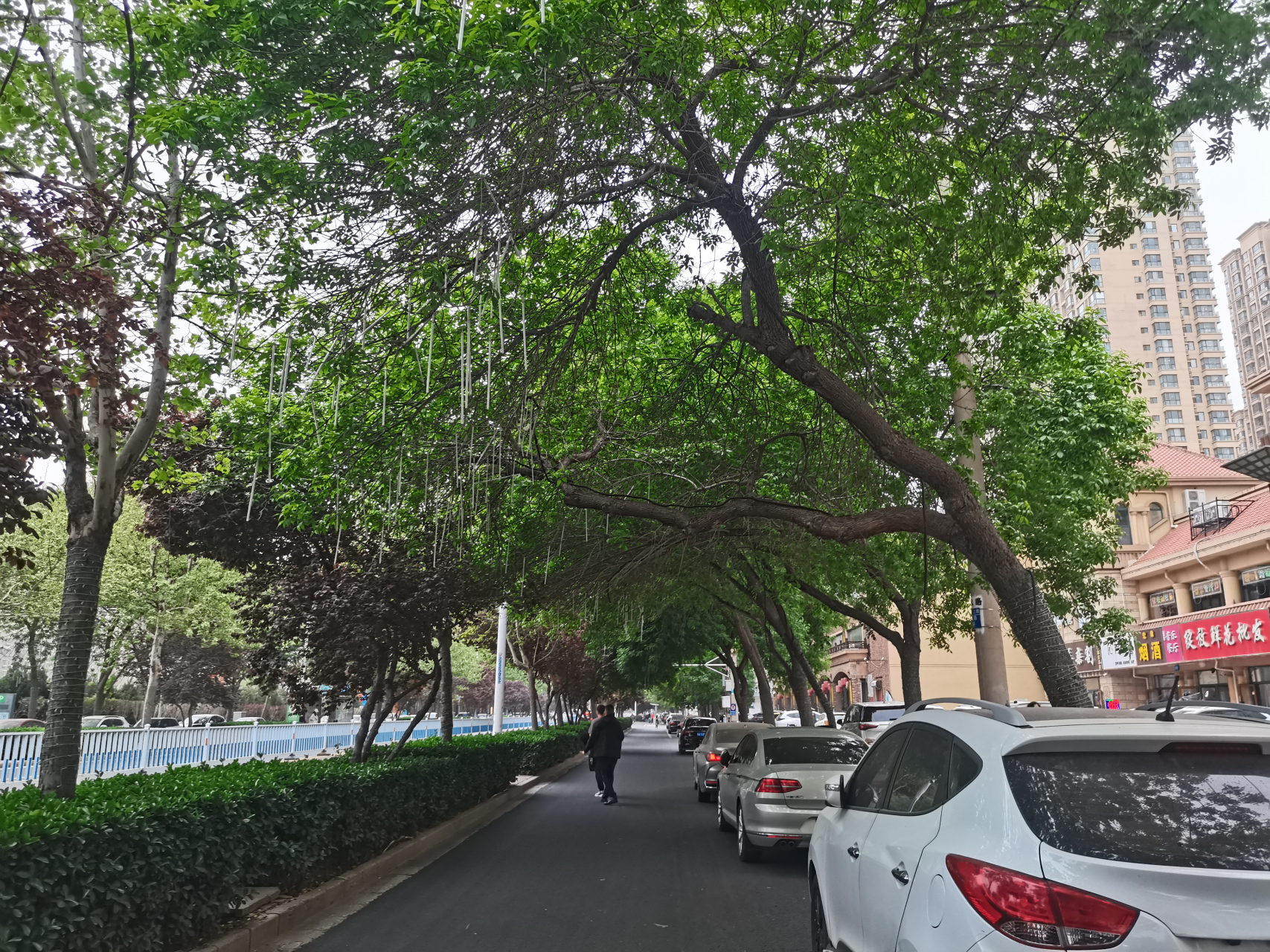 这是石家庄东风路上的情况.走在下面凉爽惬意.