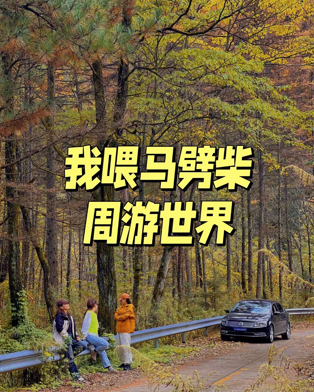 网友:喂马劈柴,周游世界,这就是生活 身临其境地站在一片高耸入云的