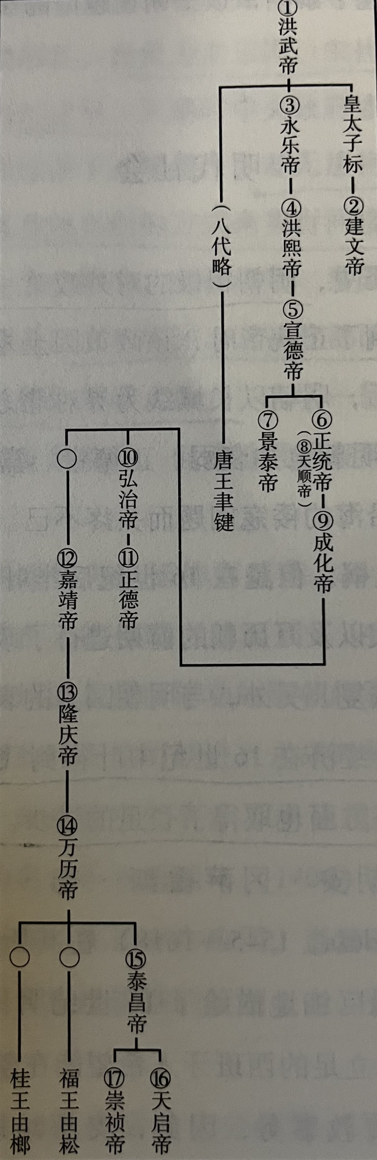 明朝皇帝关系表图片