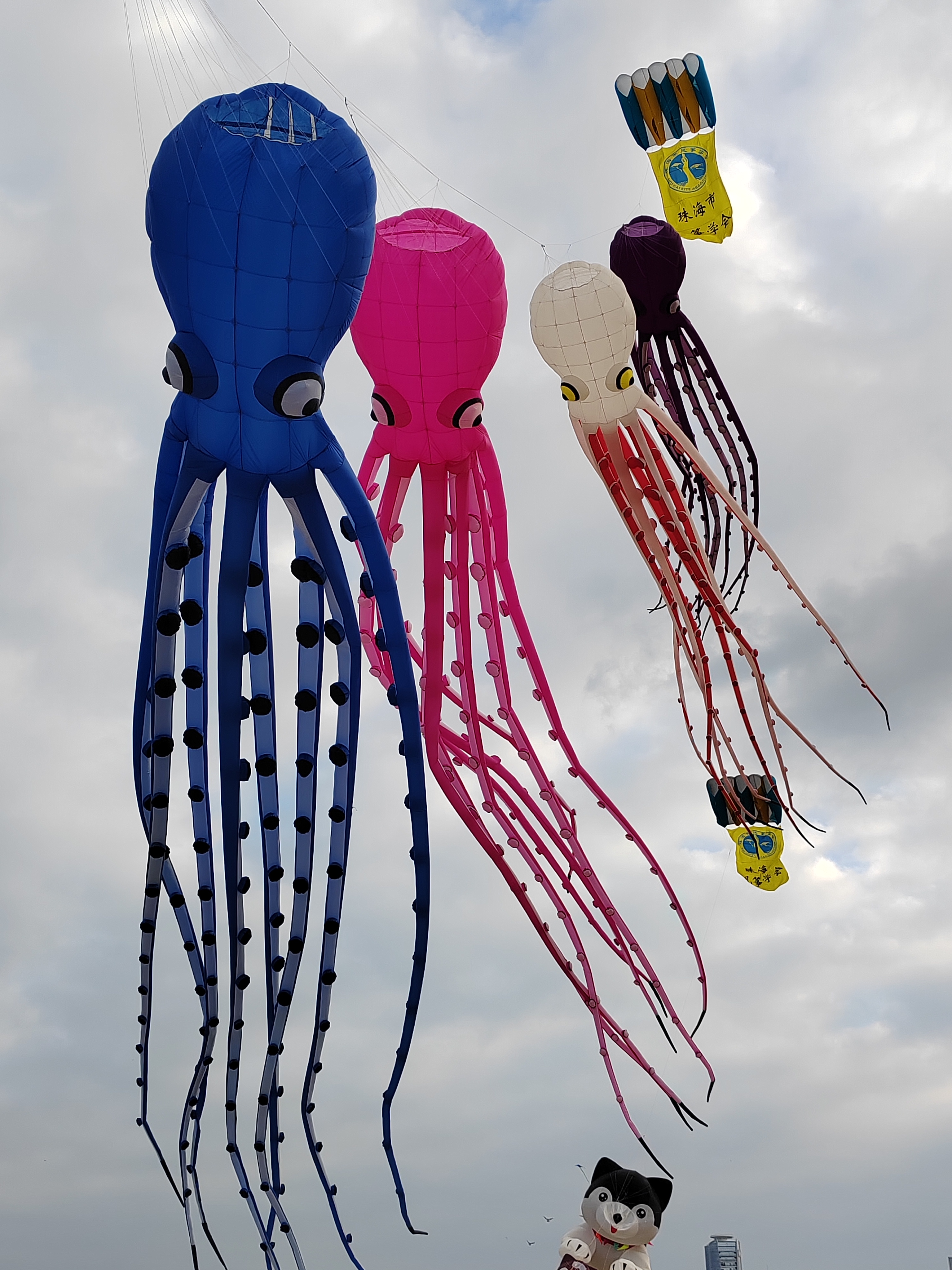 起风了,海边放飞了几只漂亮的大风筝,为美丽的"小新加坡"增加了浪漫和