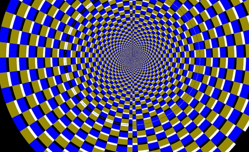 苍蝇的复眼放大图. 苍蝇的眼睛是一种"复眼",由3000多只小眼组成.