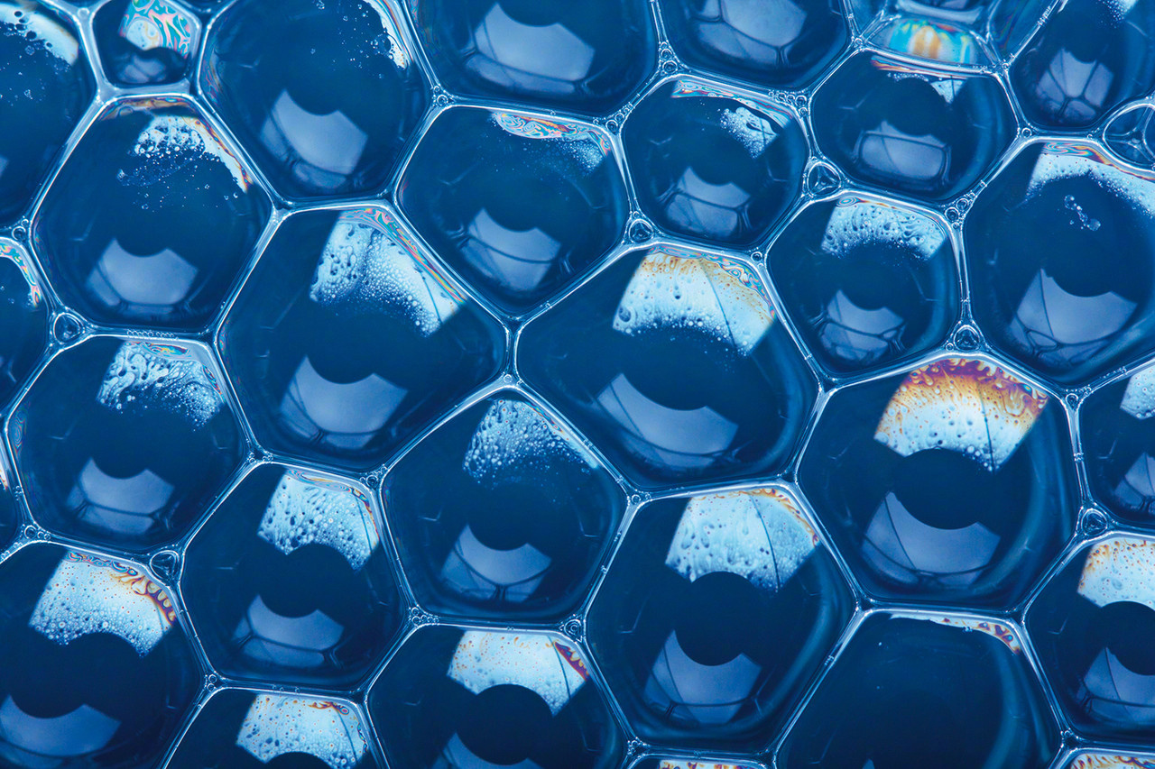 苍蝇的复眼放大图. 苍蝇的眼睛是一种"复眼",由3000多只小眼组成.