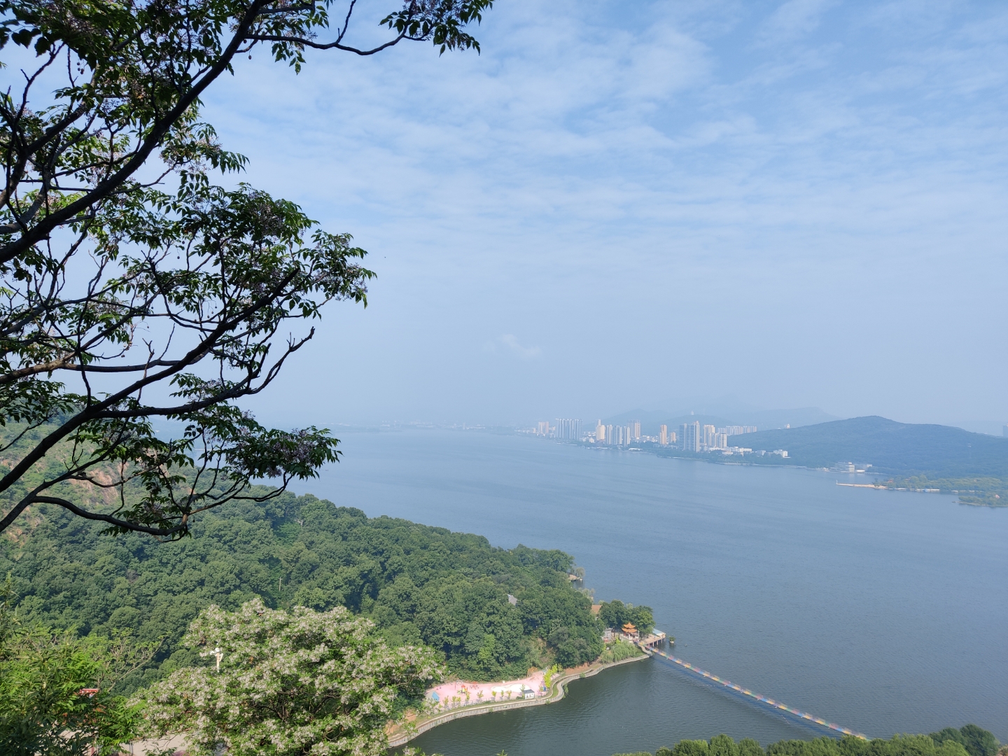 人体需要的七大营养素包括蛋白质,碳水化合物,脂肪