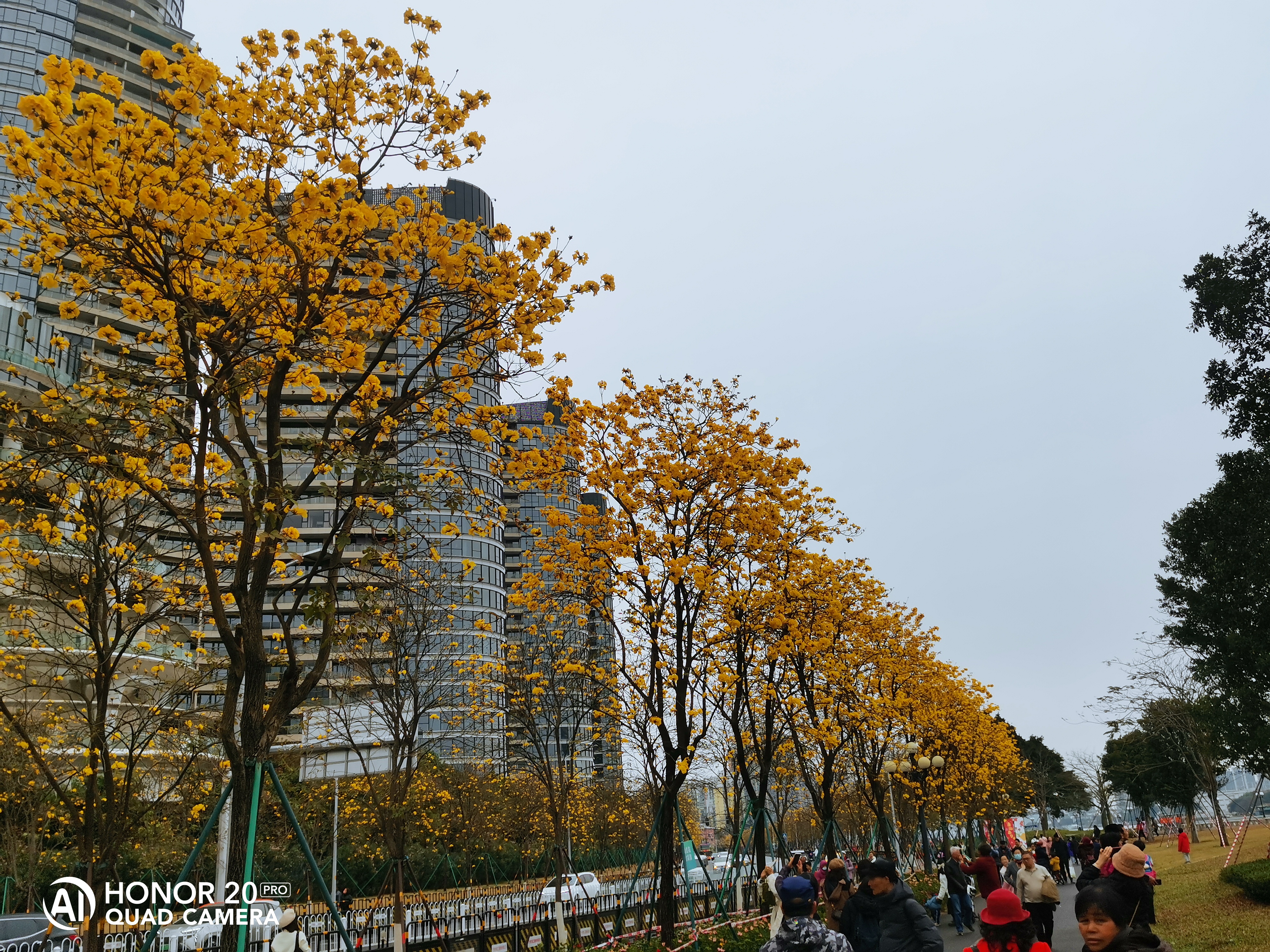 洲头咀公园停车图片