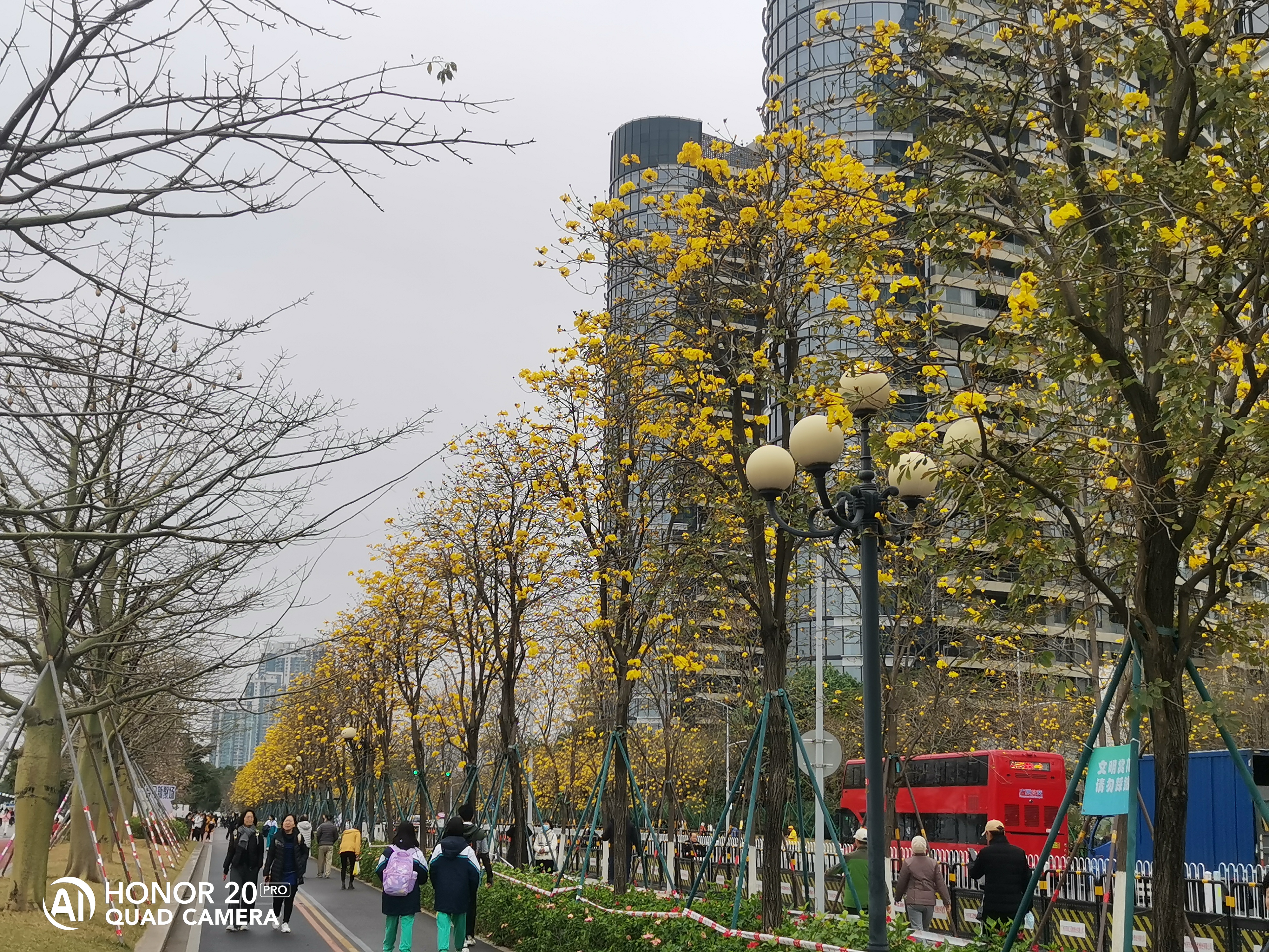 洲头咀公园停车图片