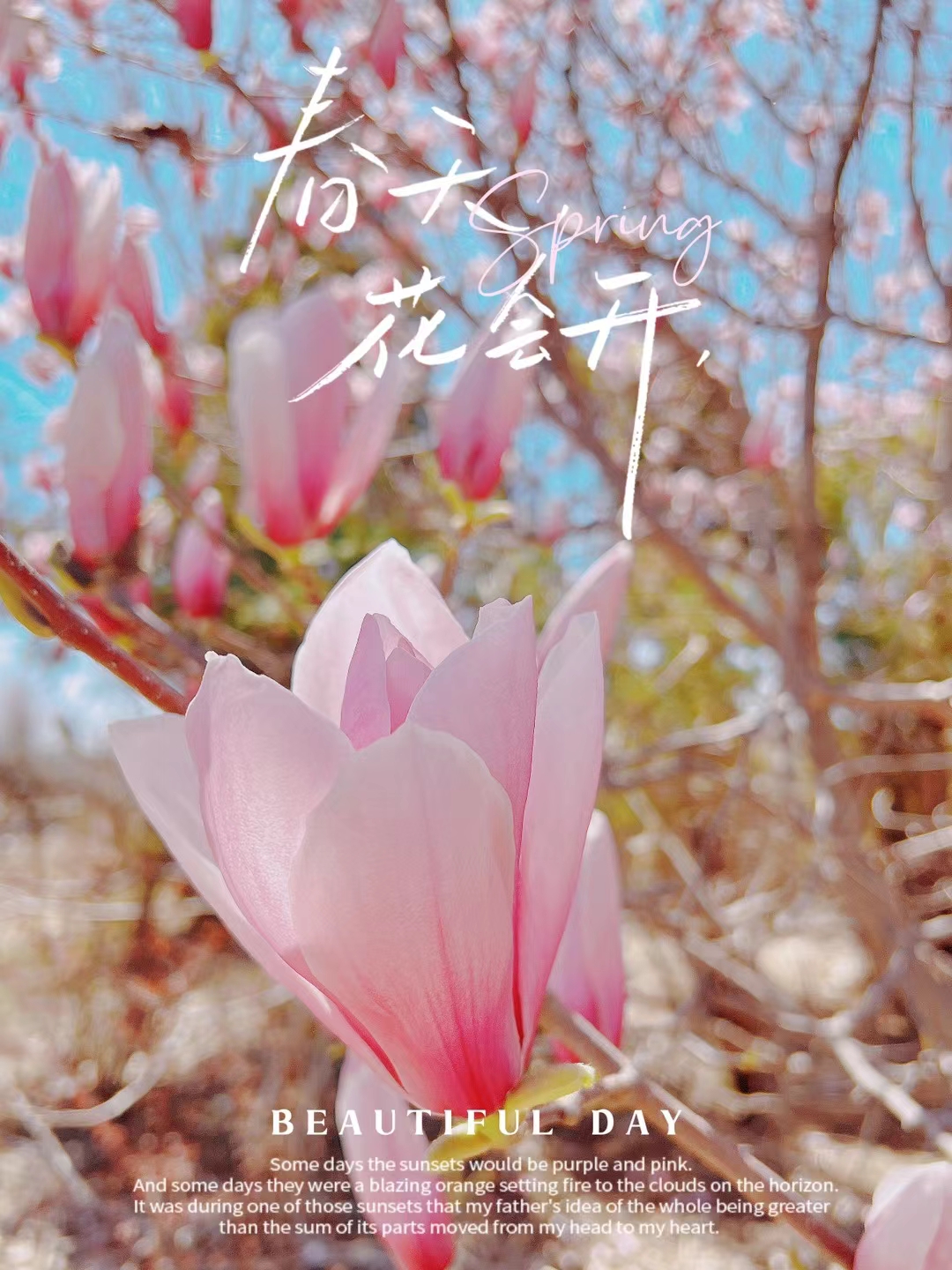 人间最美四月天,不负春光与时行