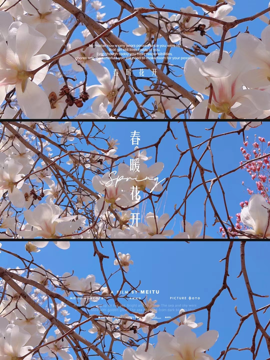 人间最美四月天,不负春光与时行