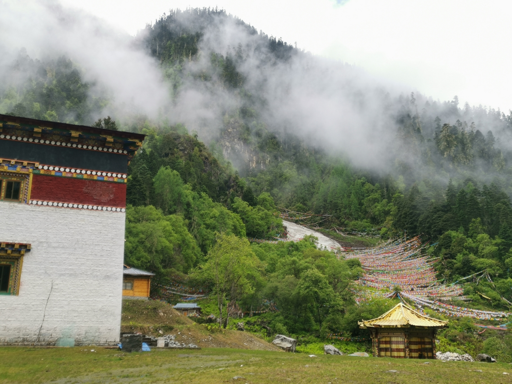 旅游攻略#波密卓龙沟,西藏唯一树葬的地方,那些的一切,只有自己亲自