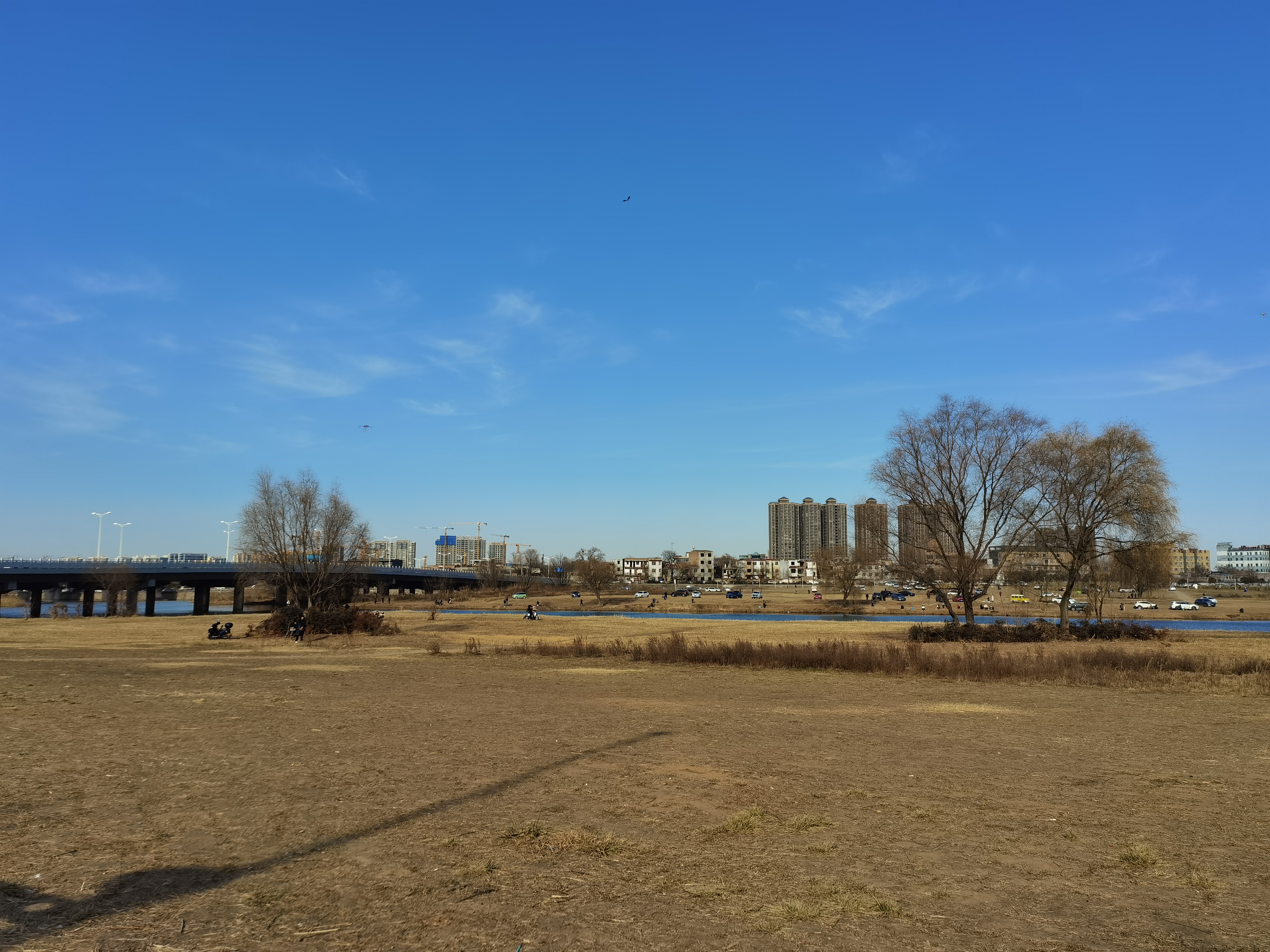 灞桥湿地公园