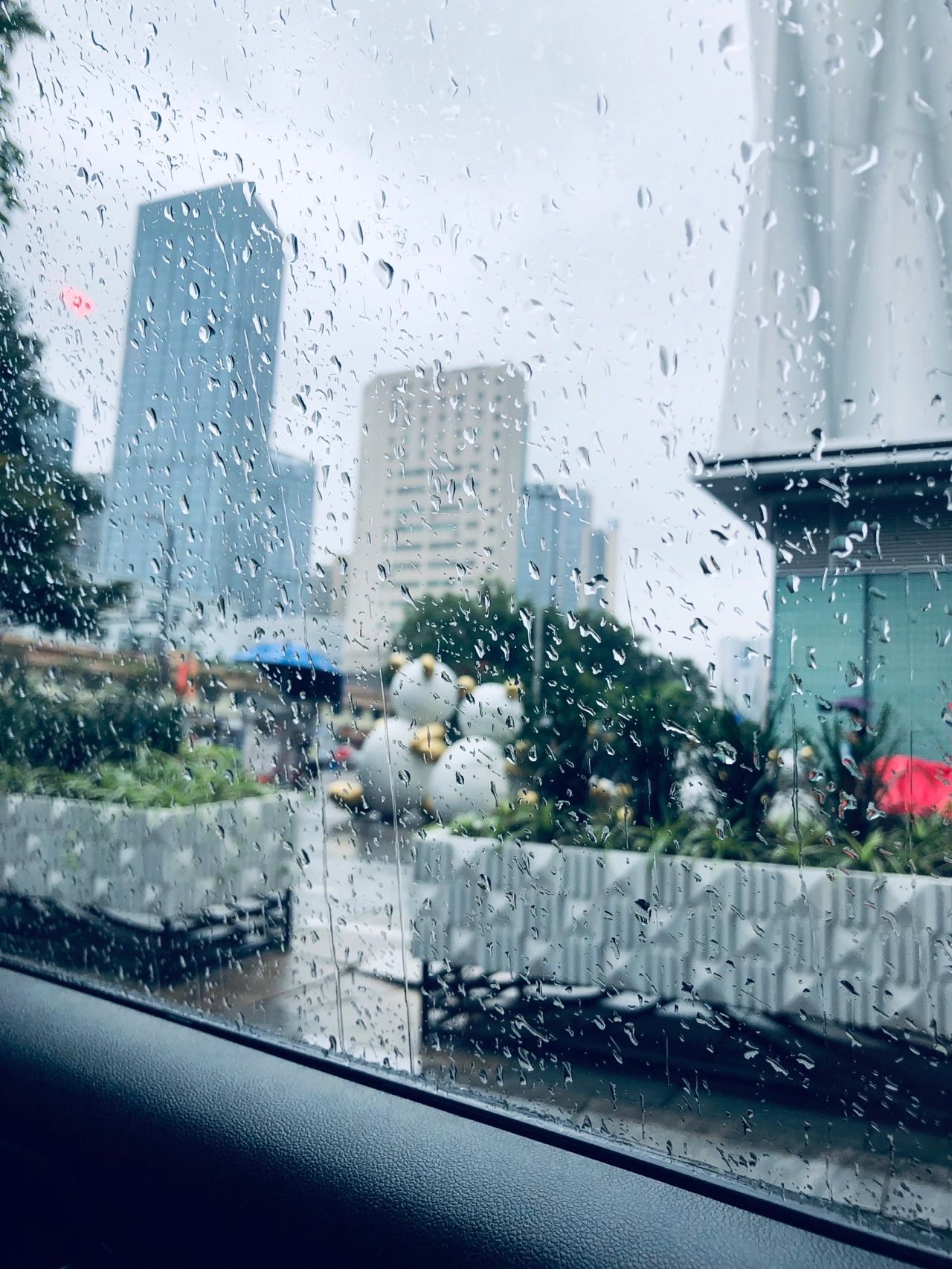 雨天清晨的图片真实的图片