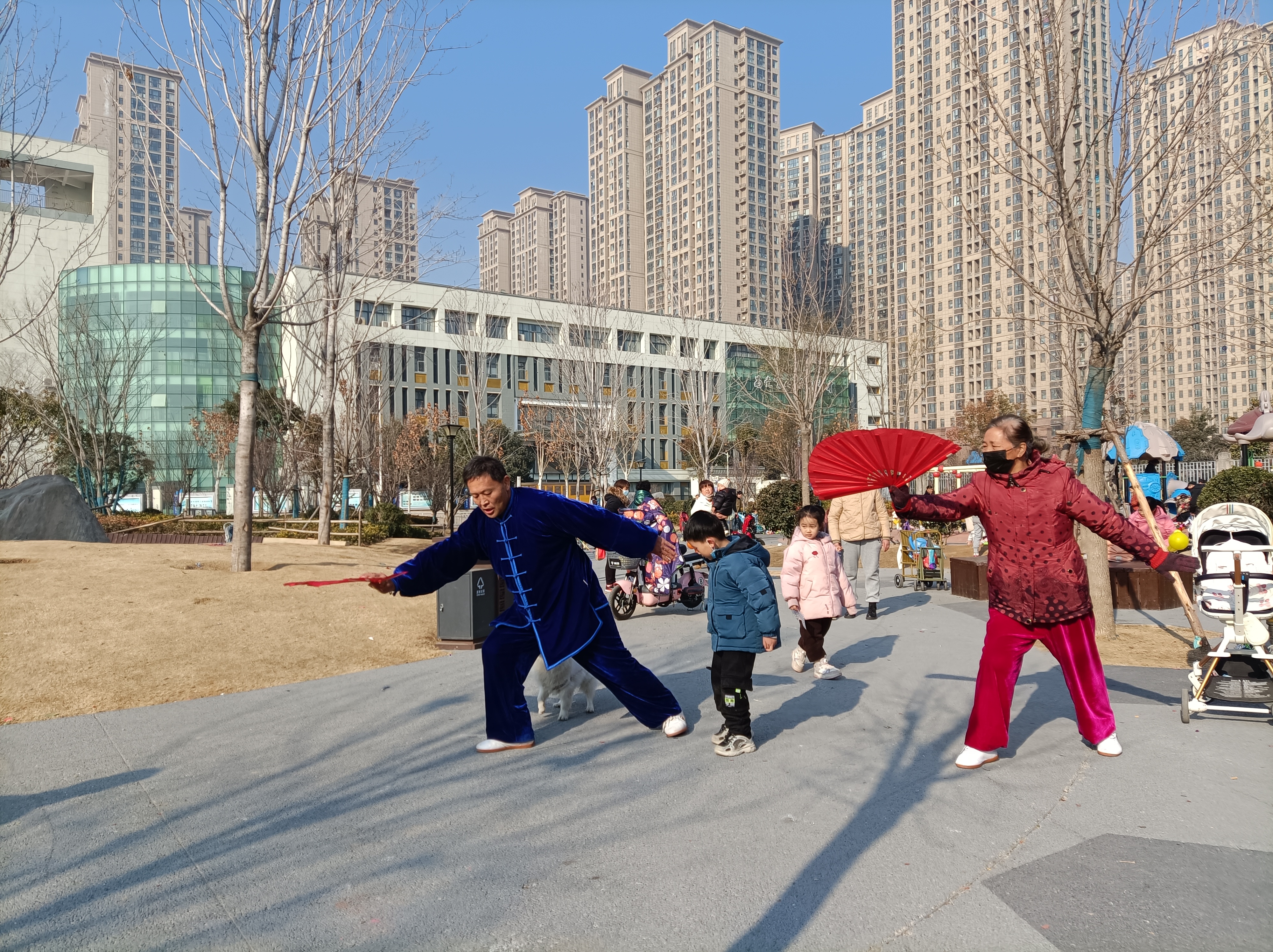 夕阳红功夫扇图片