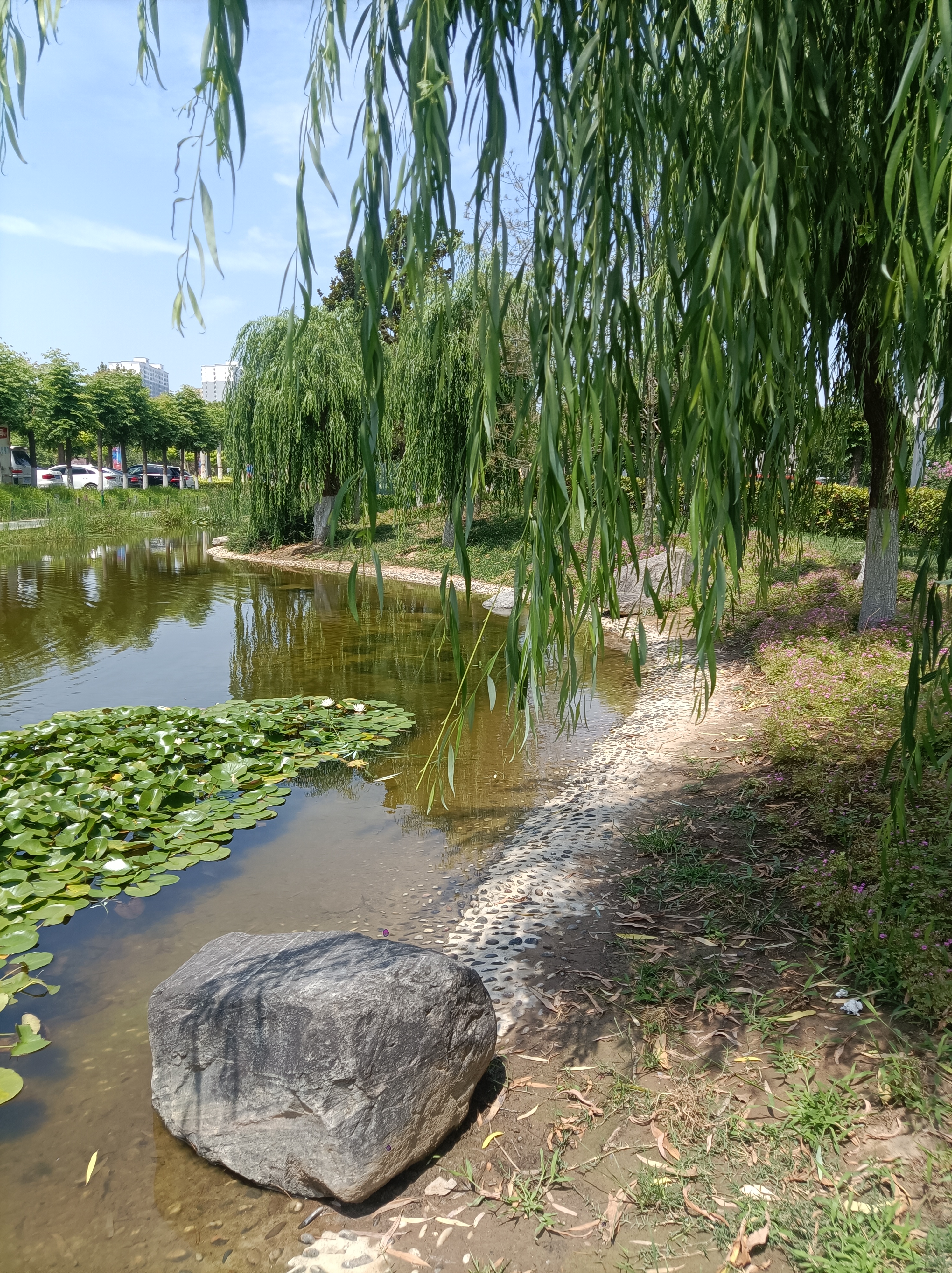 夏天最美图片大全美丽的环境夏日最美风景图片午后风景图片优美的图片
