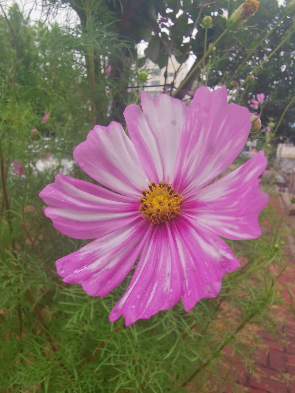 dont overestimate your relationship with anyone.