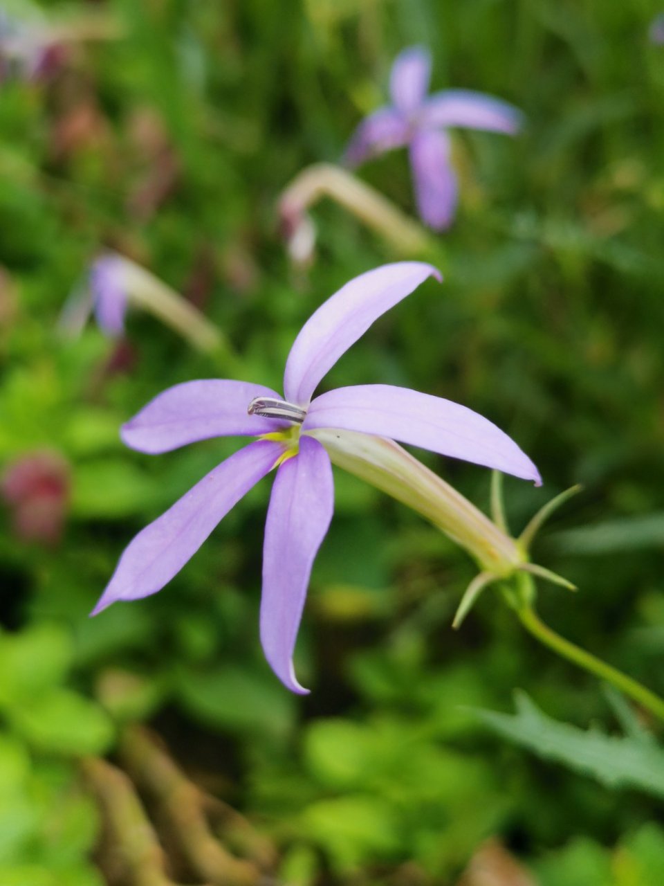 who is able to be egotistical is also able to be strong.