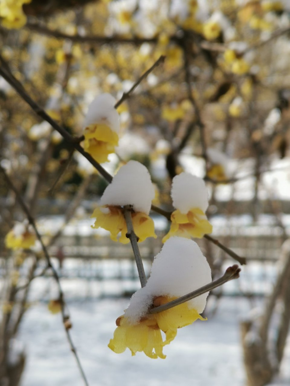 use the words we and us when referring to your business.