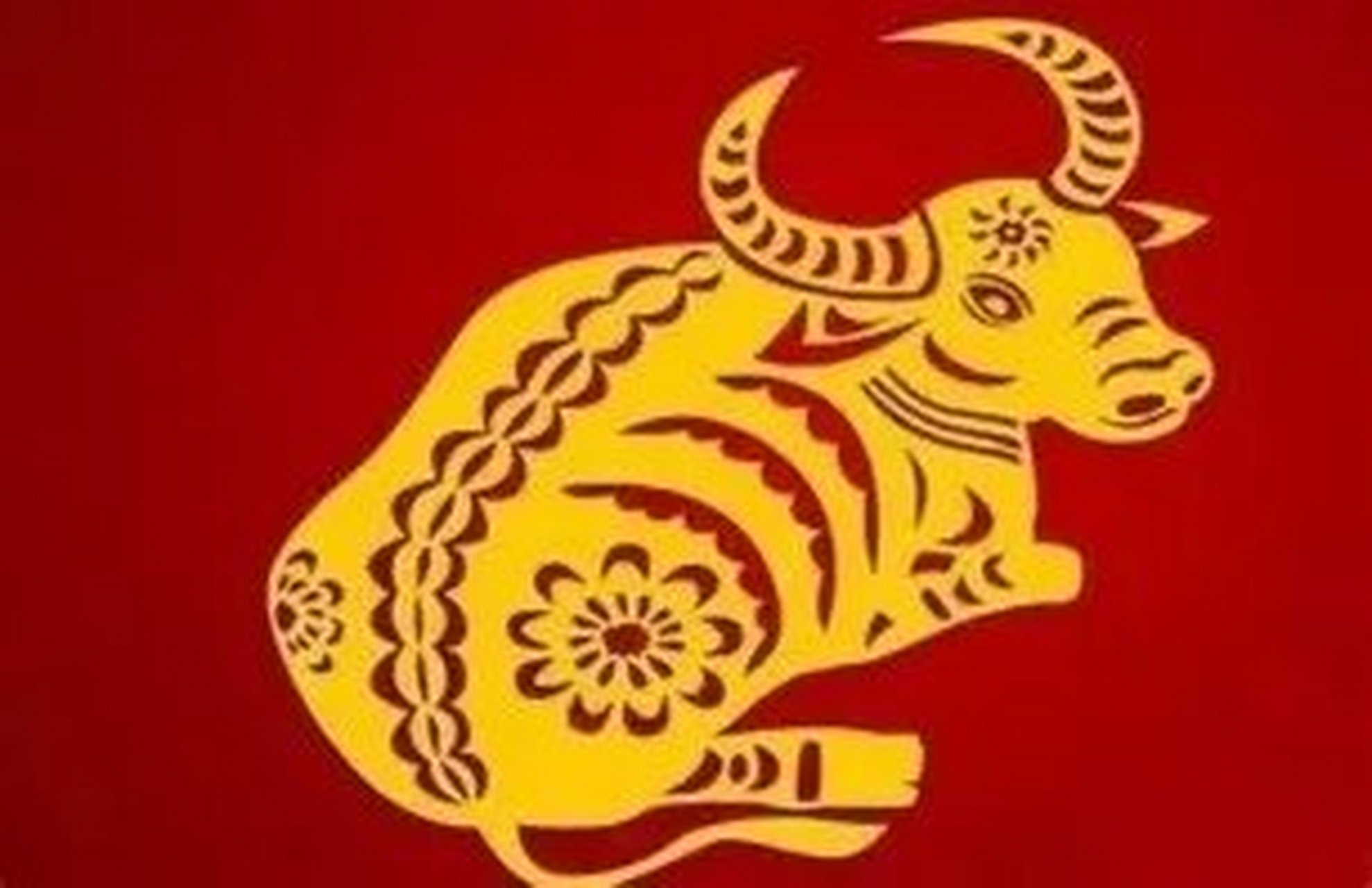 2021年是牛年,你的词库里是不是要多一些关于"牛"的词语呢?