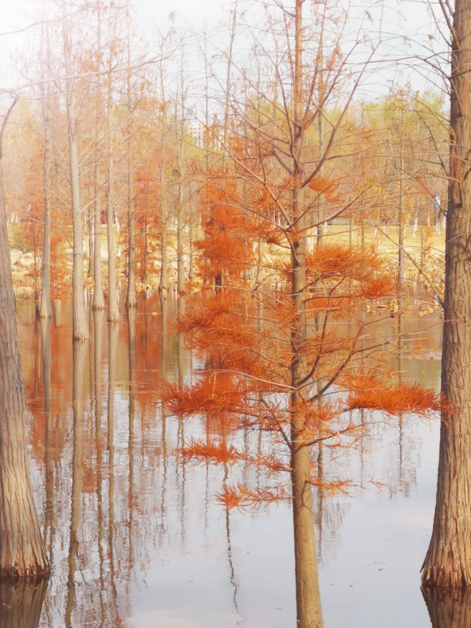 "走马观花",汉语成语,意思是骑在奔跑的马上看花(look at the flowers