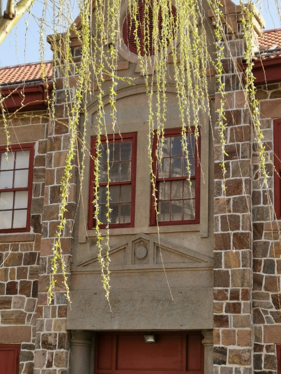 《初春小雨》——韩愈  light rain in early spring – by han yu