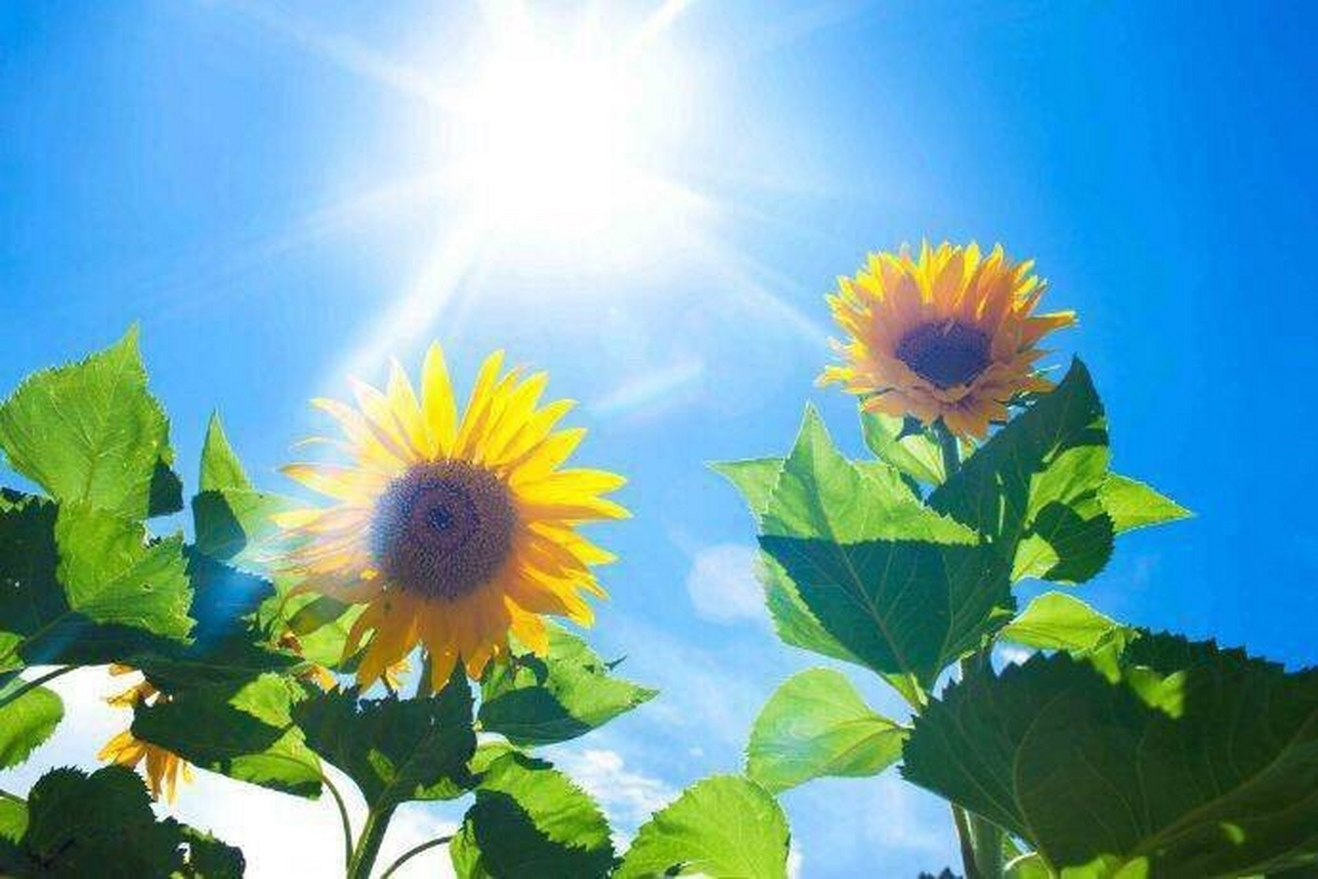 life is not a race, but a journey to be savored each step of the