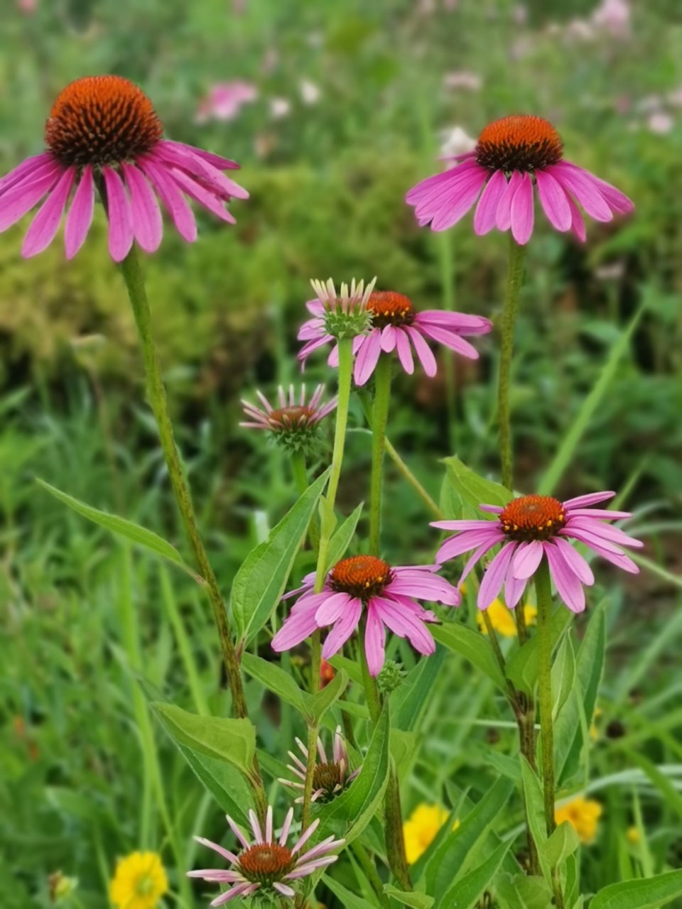 go forward with confidence and an eagerness to learn.