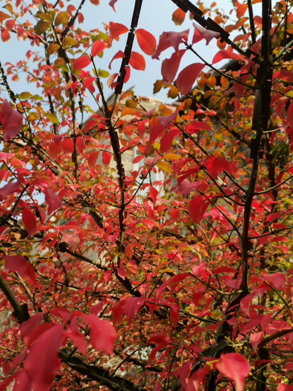 appropriateness is to leave something to be said and something