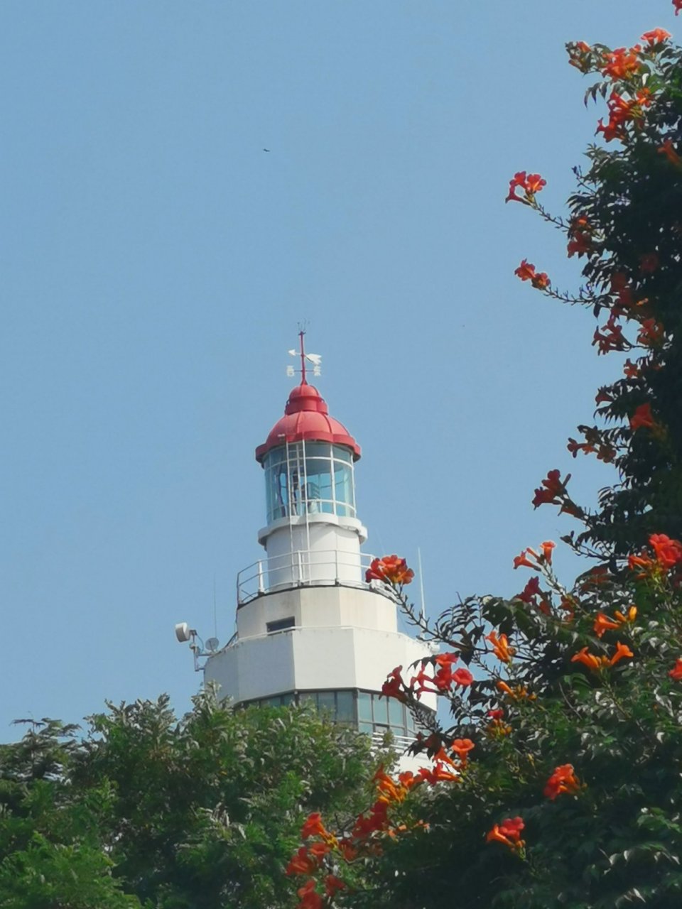 its time to figure out who im supposed to be,  to find my