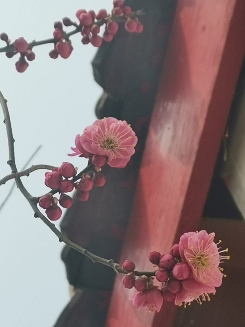 that hit the spot.  类似的短语,"正合我意" 我们还可以说:  1.