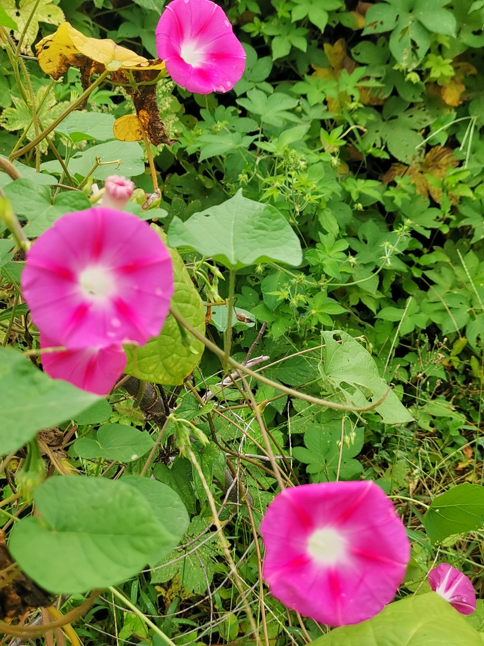 strive not to be a sucess, but rather to be of value.