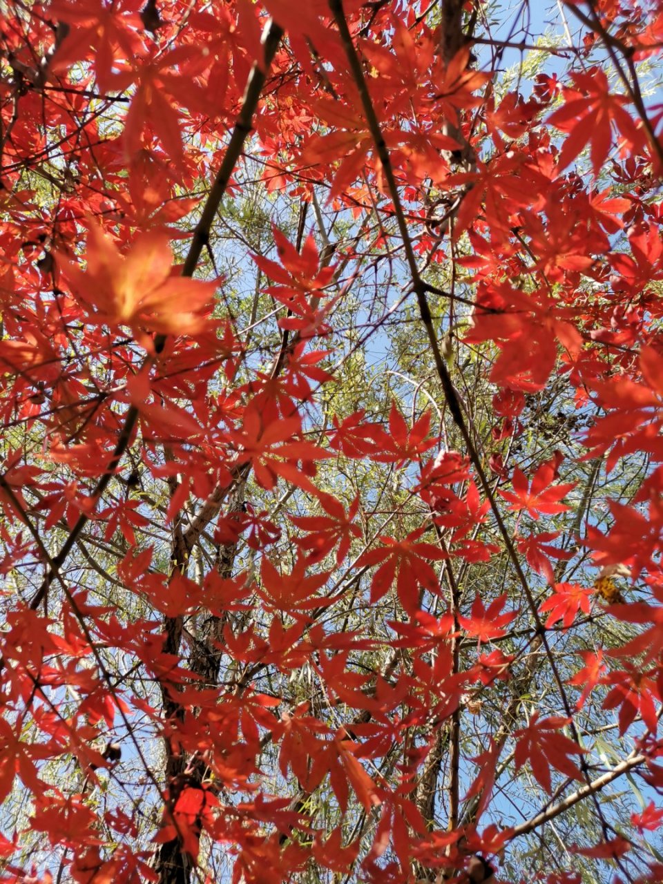 any relationship that consumes your happiness should be moved