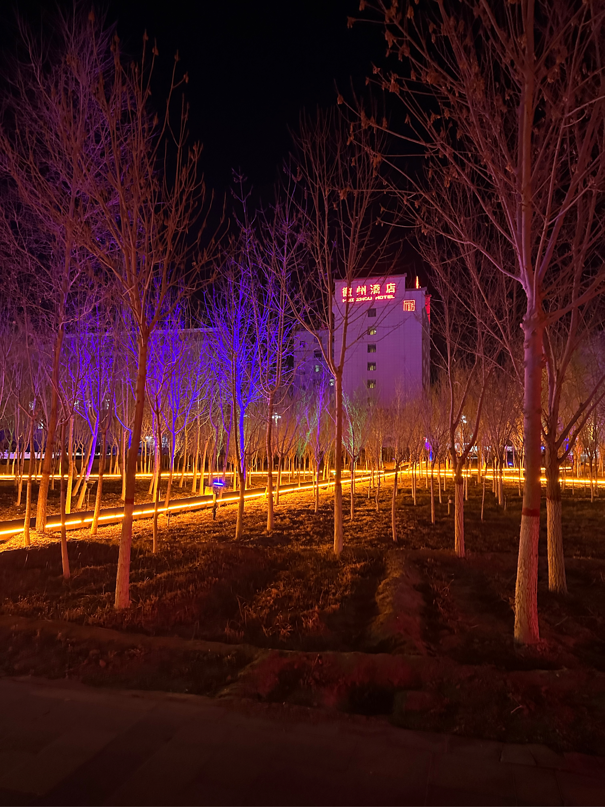 若羌县夜景图片