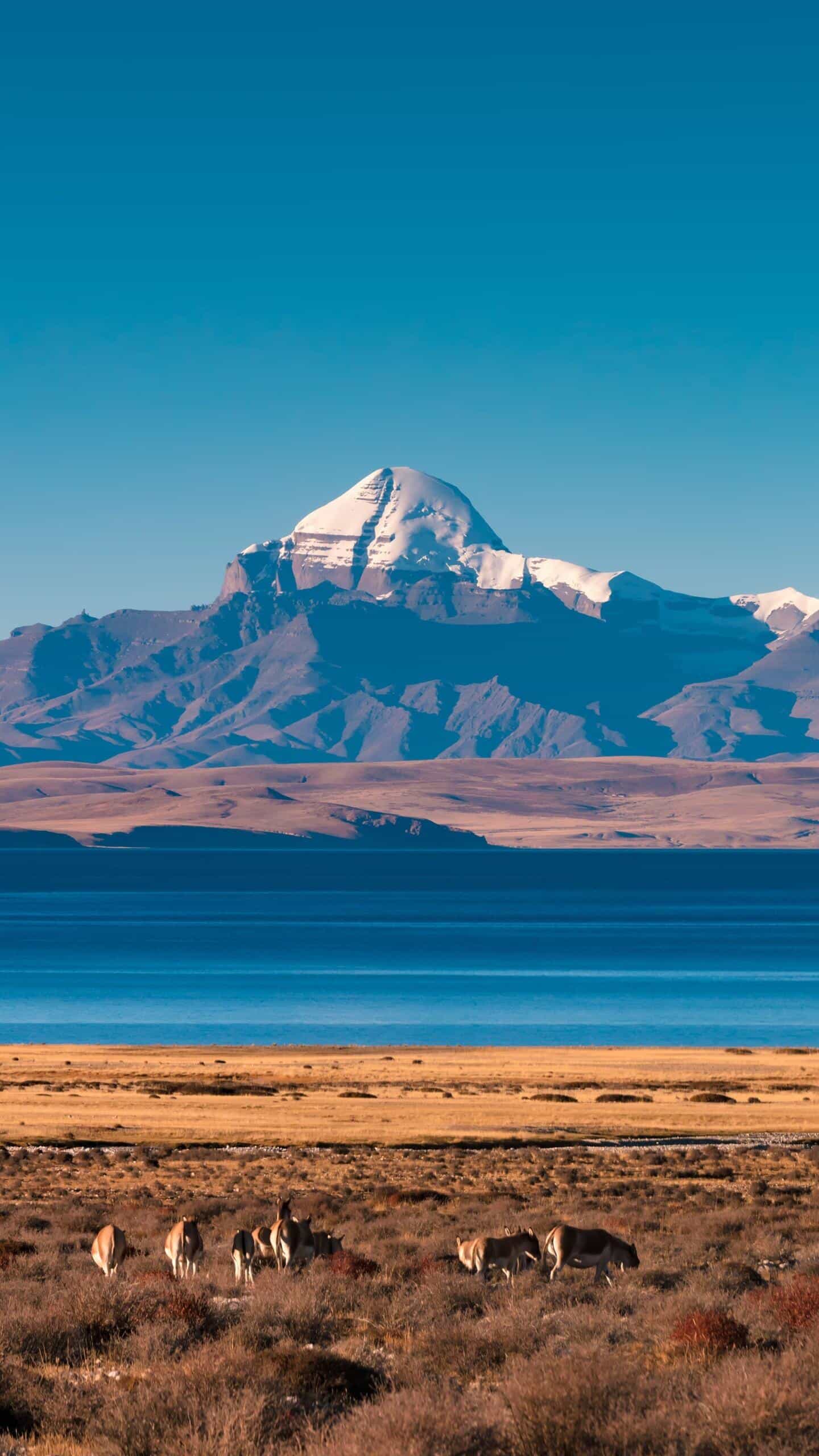 巍峨大山照片图片