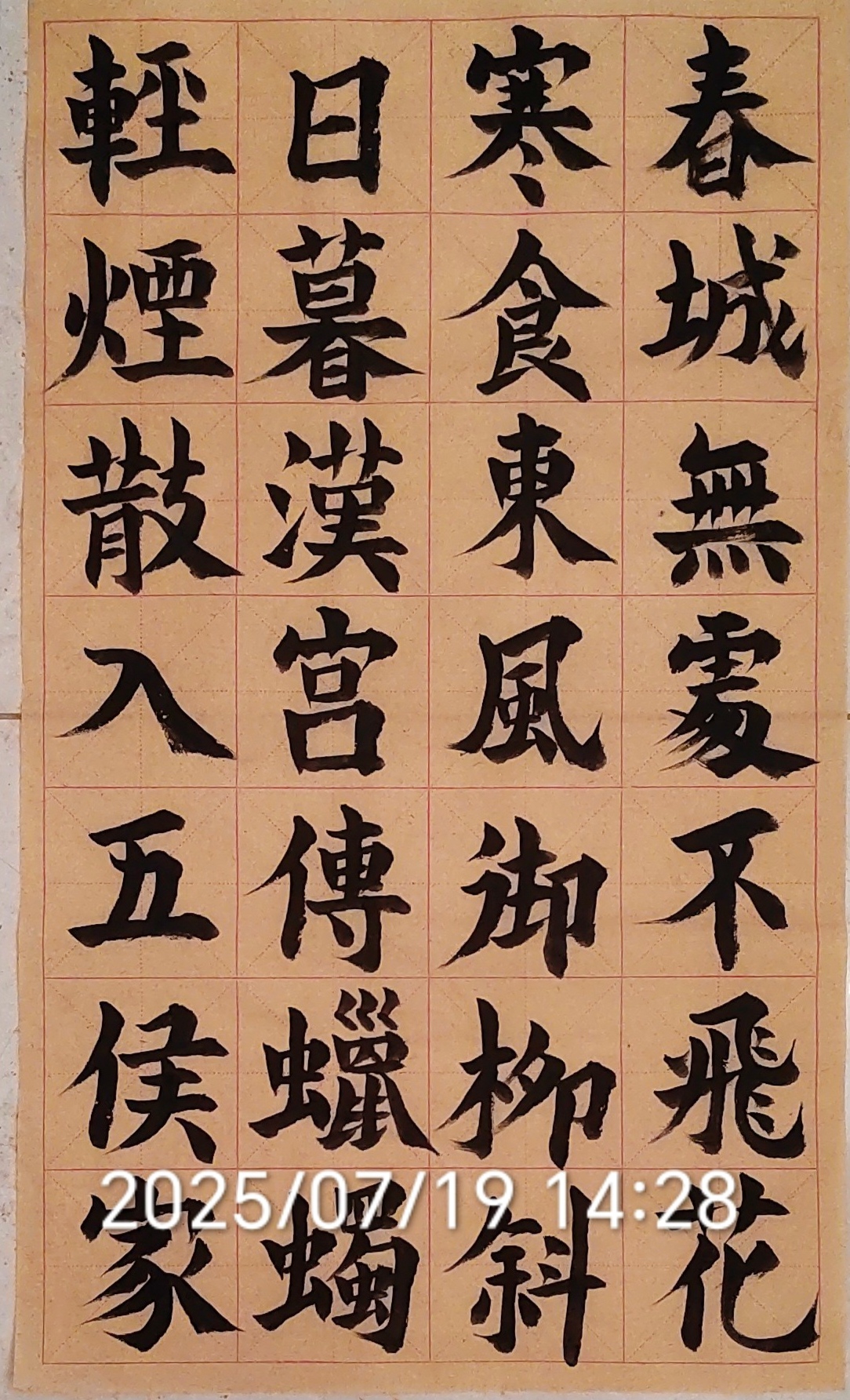 庭院日记20250719农历六月二十五星期六鸠江区多云28到