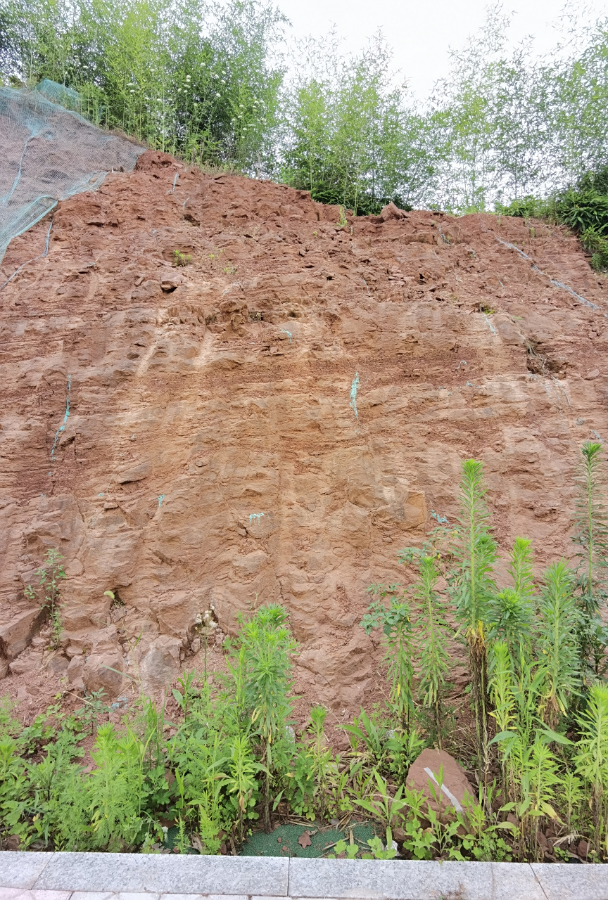 白垩系泥质粉砂岩:长江以南多数城市(除沿海及长江边)的建筑物地基既