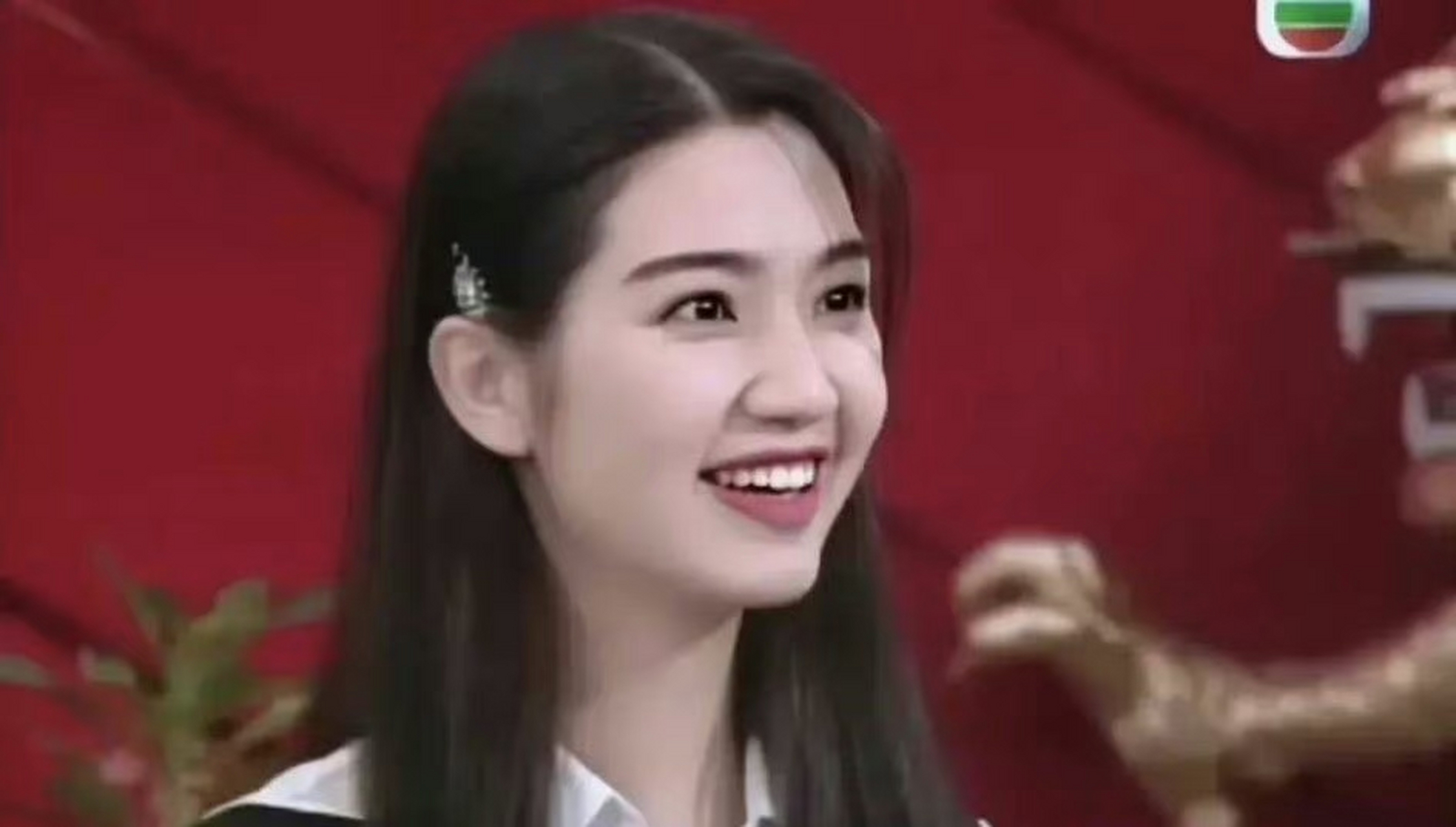 洪欣年轻的时候是真的美,感觉不比李嘉欣差,而张丹峰是眼睛没看清才会