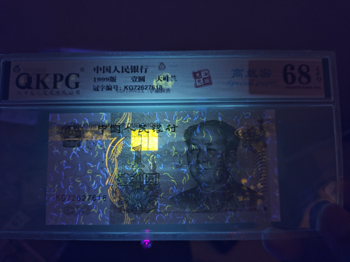 991大叶兰高密丝kg冠,荧光灯下的美