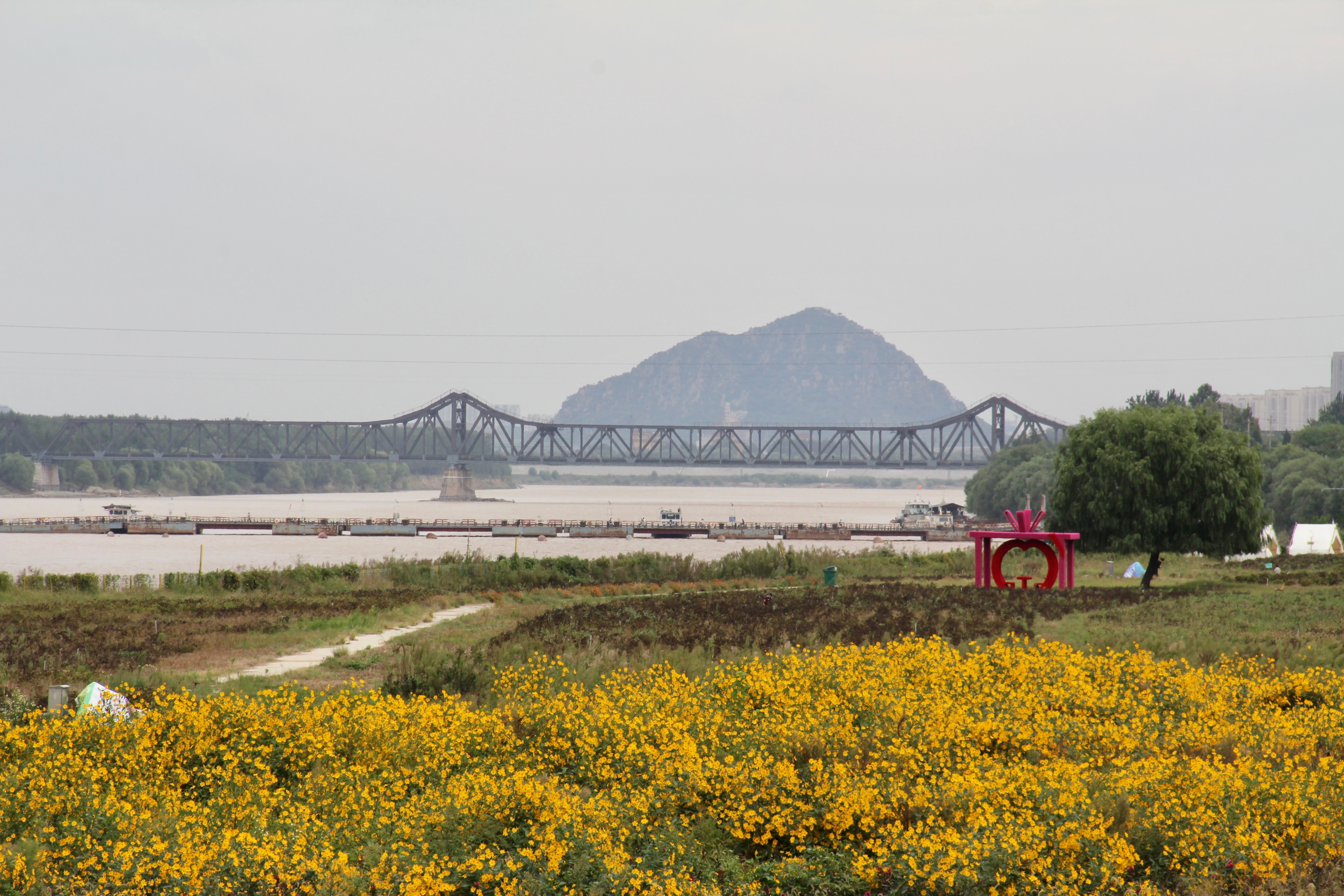 百里黄河风景区图片