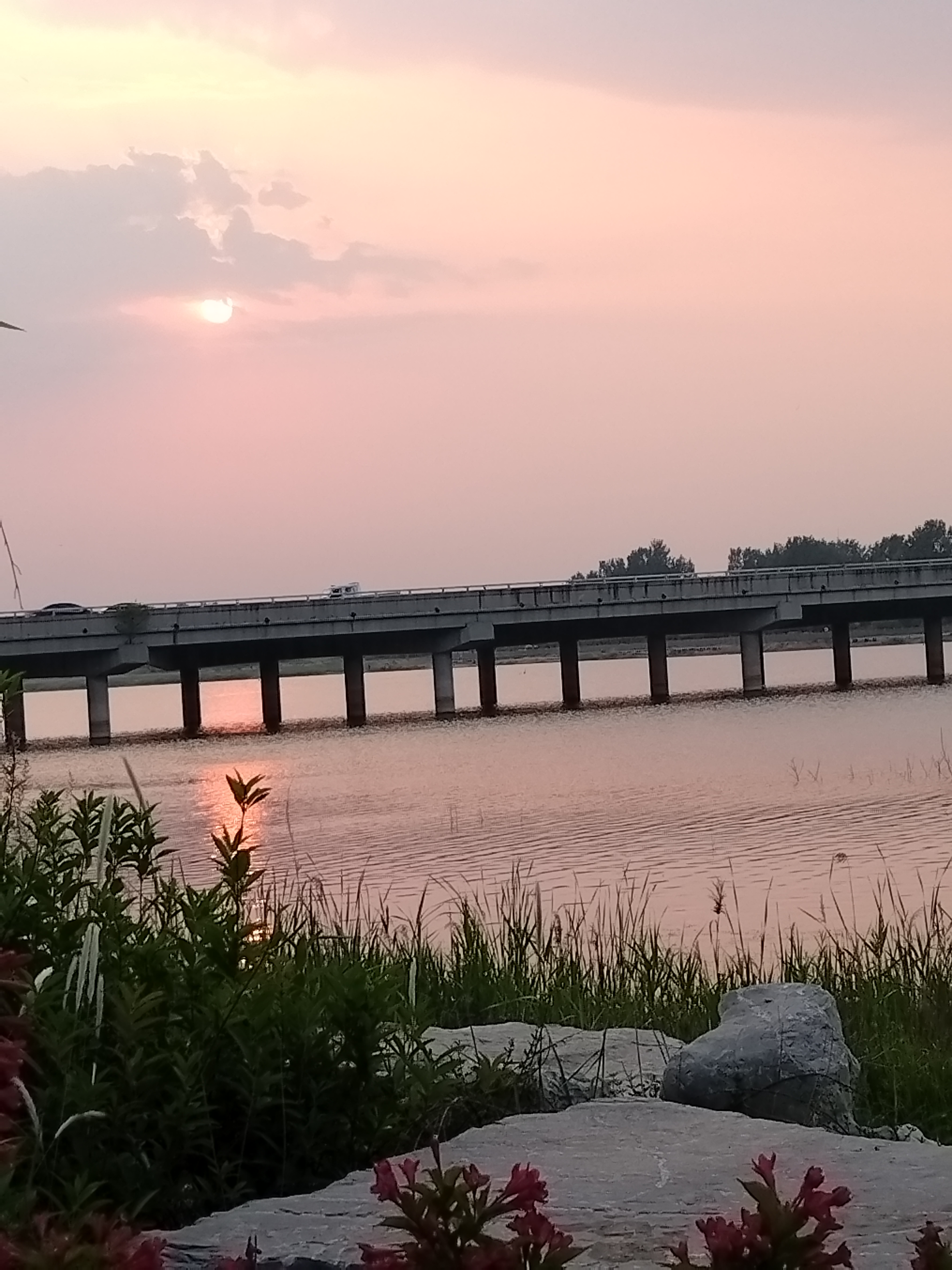 胶河湿地公园