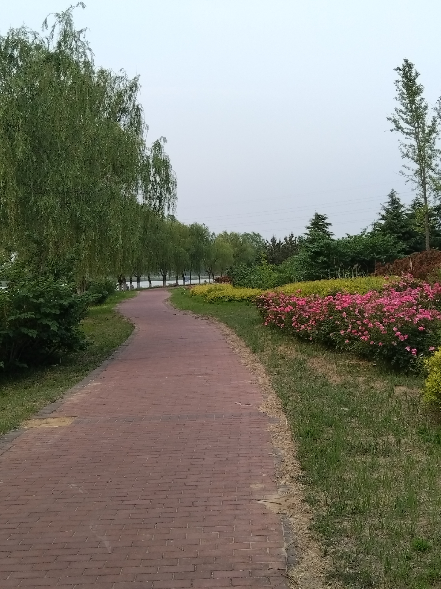 胶河湿地公园