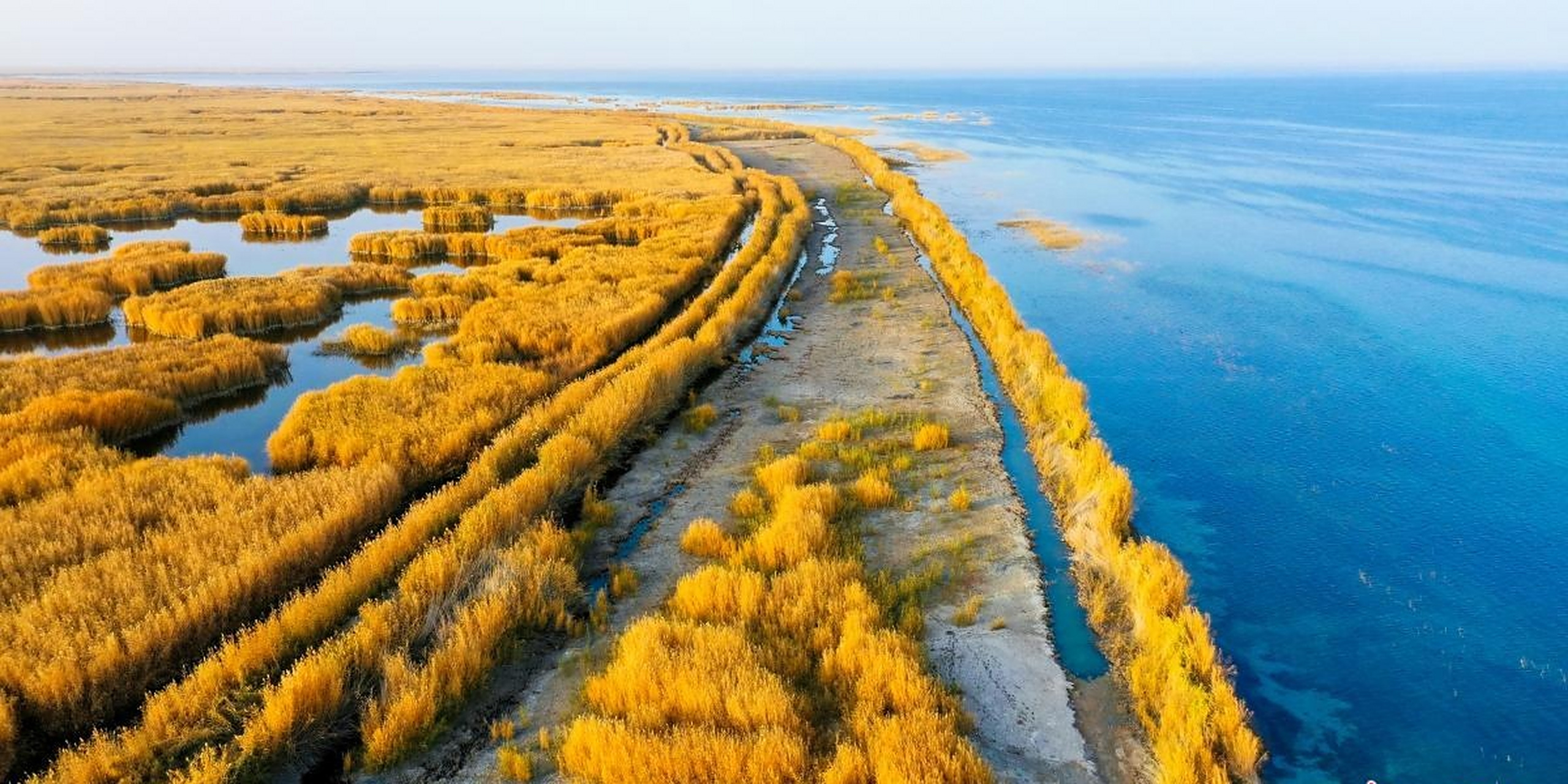 一早开车35公里游玩博斯腾湖景区(巴音郭楞).