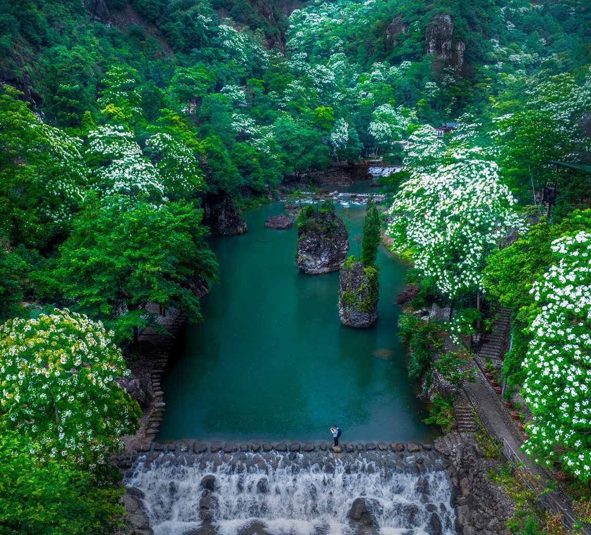 江灵运图片