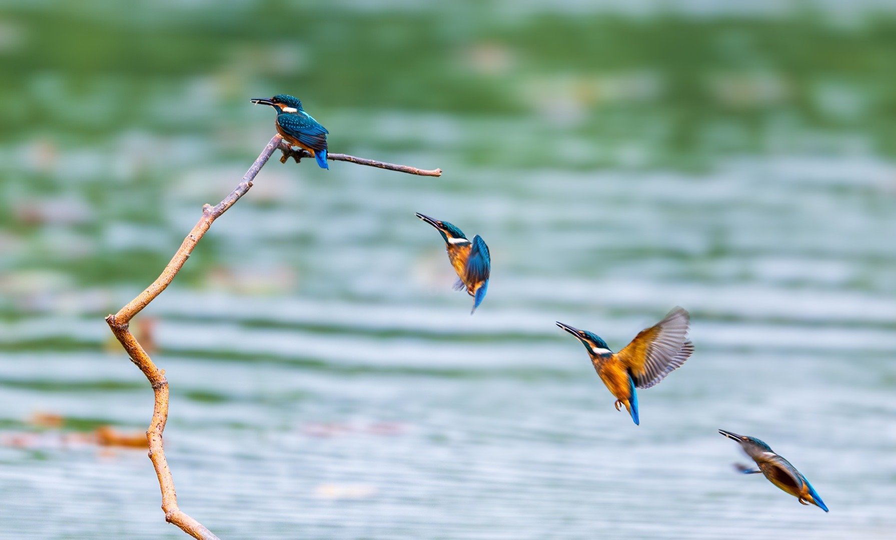 爱好和精要极简主义分享167:12个终身不进医院的健康习惯