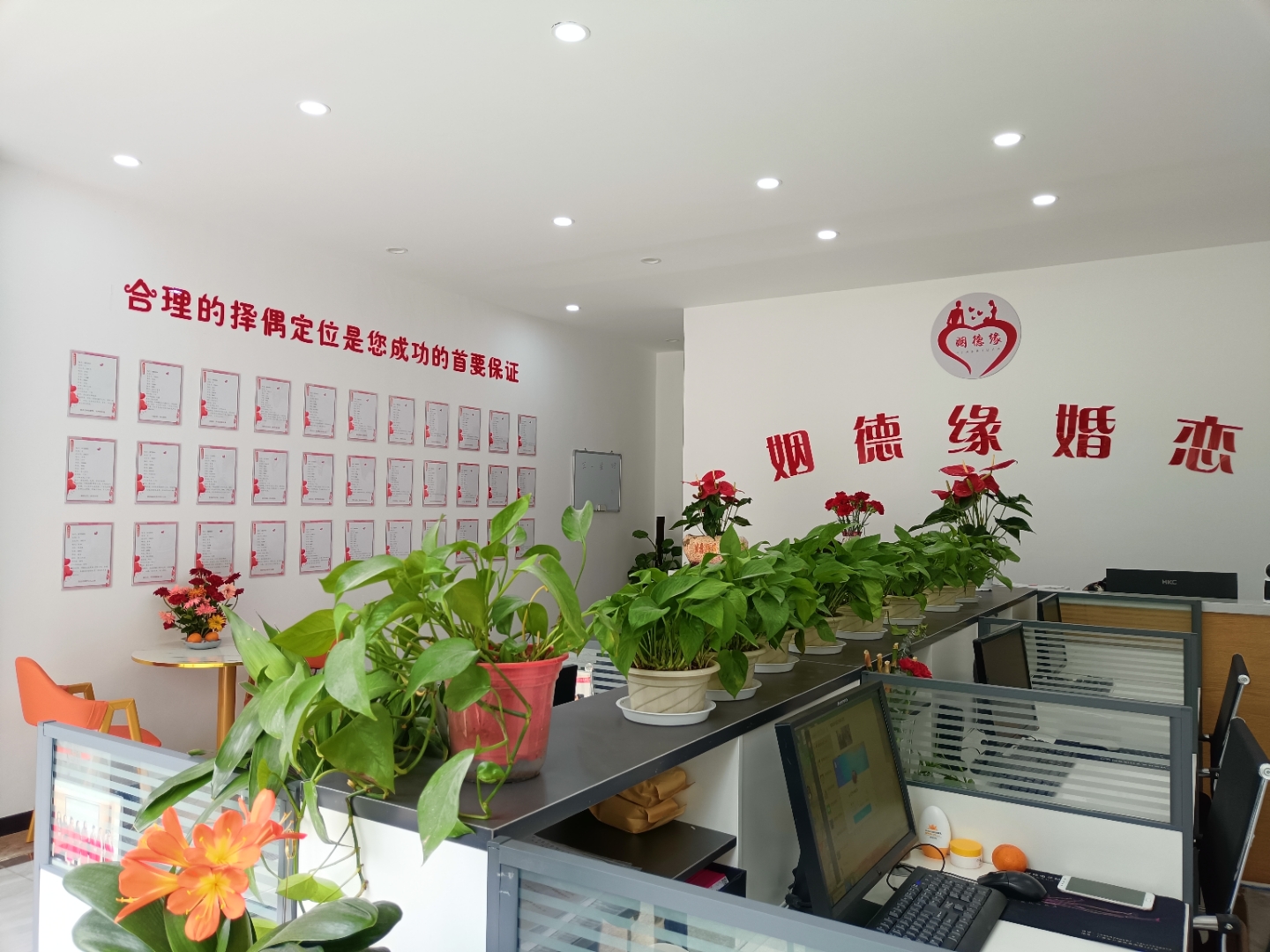 【婚恋行业蓝海市场,等你掘金!】