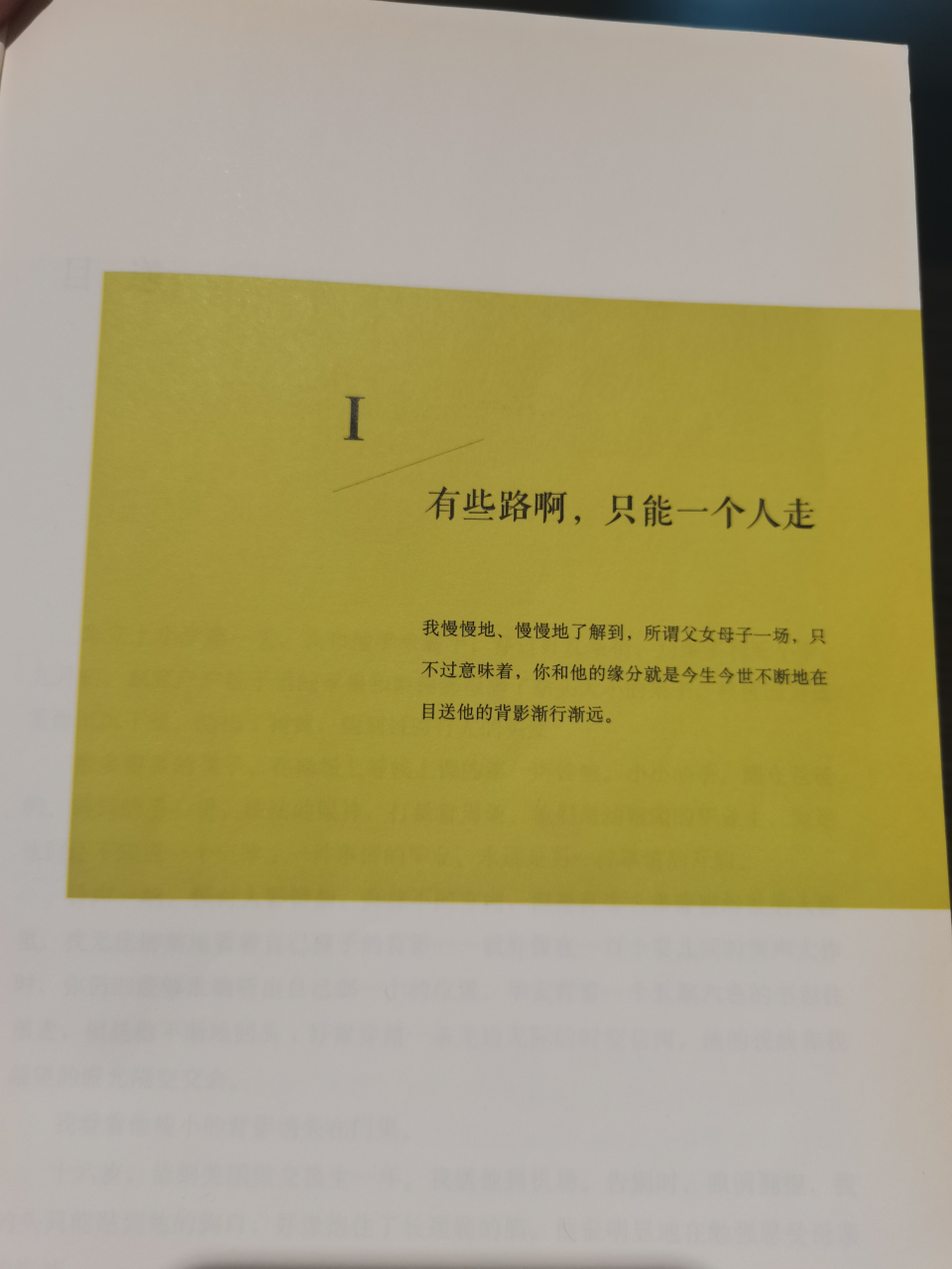 目送龙应台_目送龙应台主要内容概括