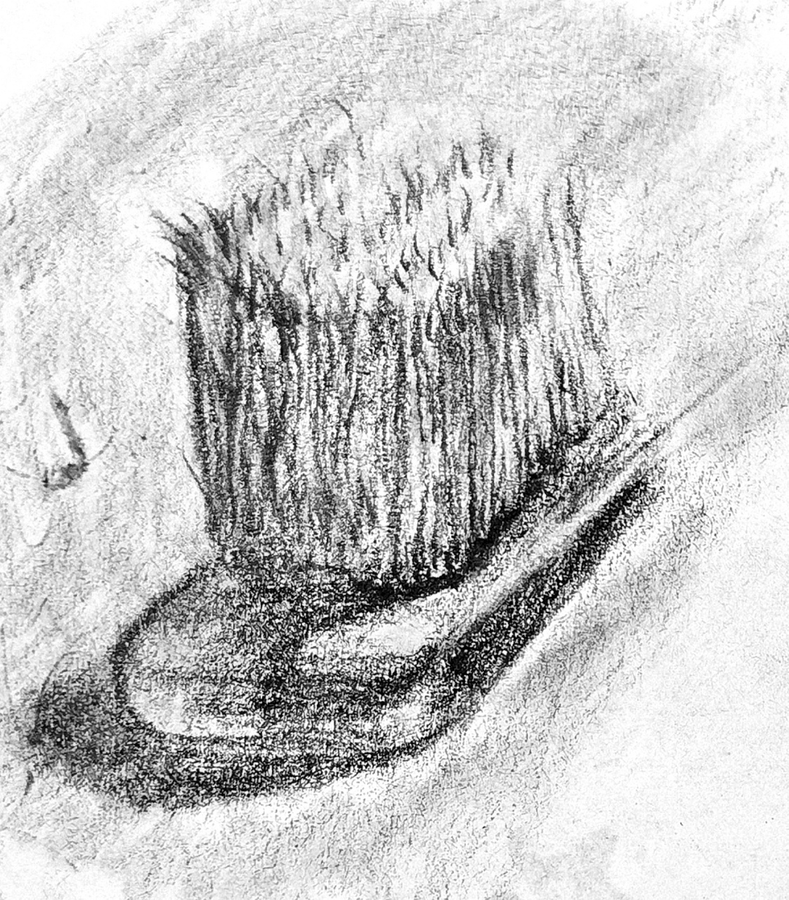 我的素描练习:毛刷