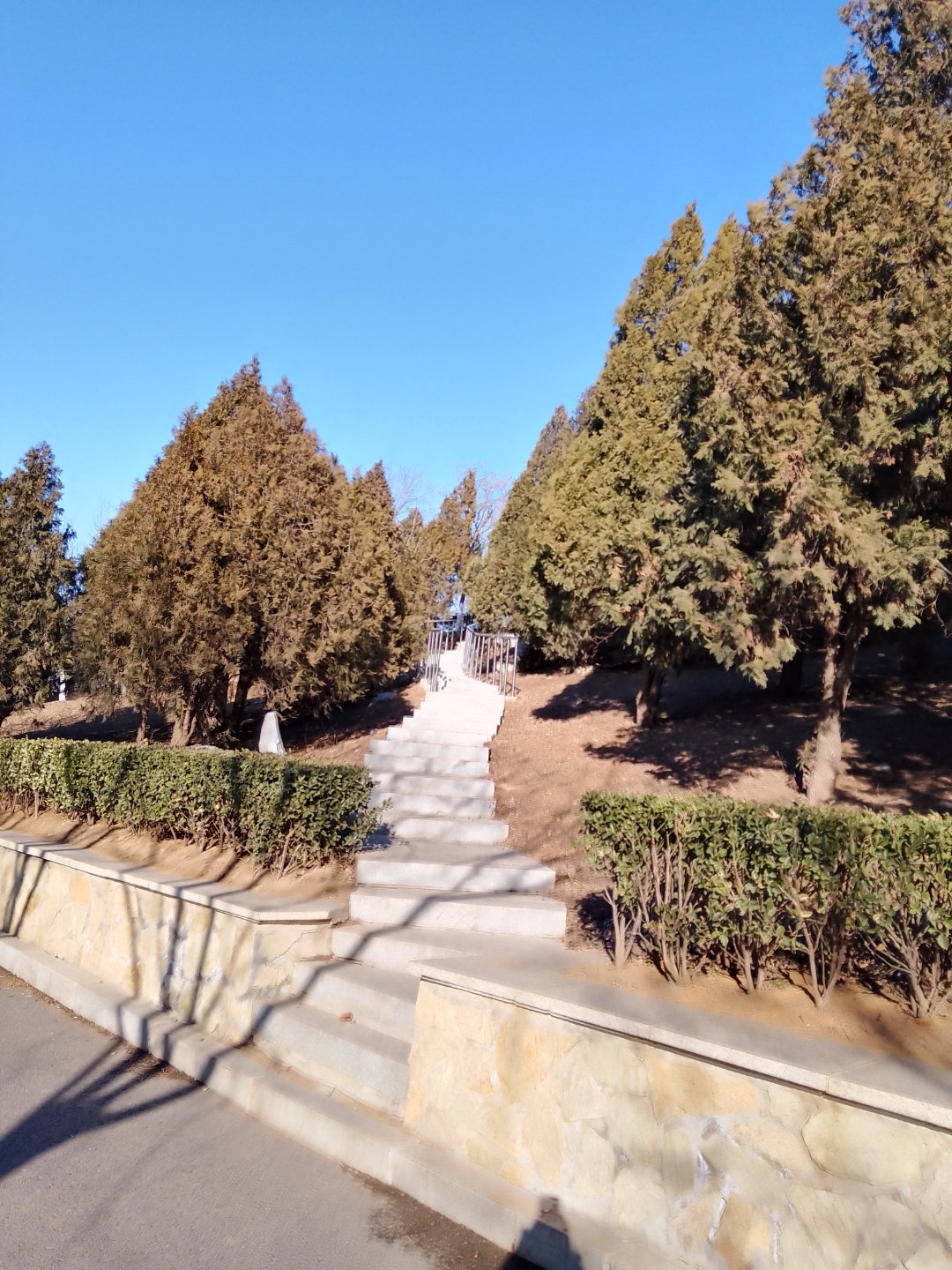 大连市甘井子区南关岭公园