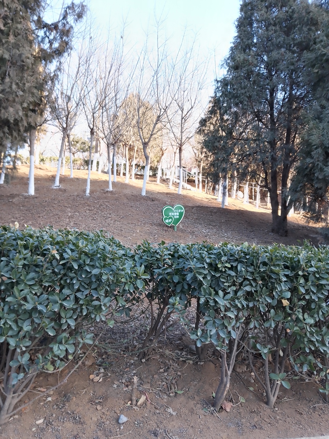 大连市甘井子区南关岭公园