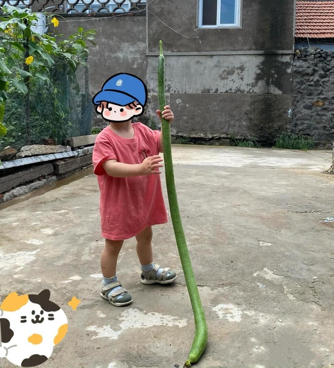 奶凶奶凶的小孩,抓蛇抓七寸,位置拿捏得稳.