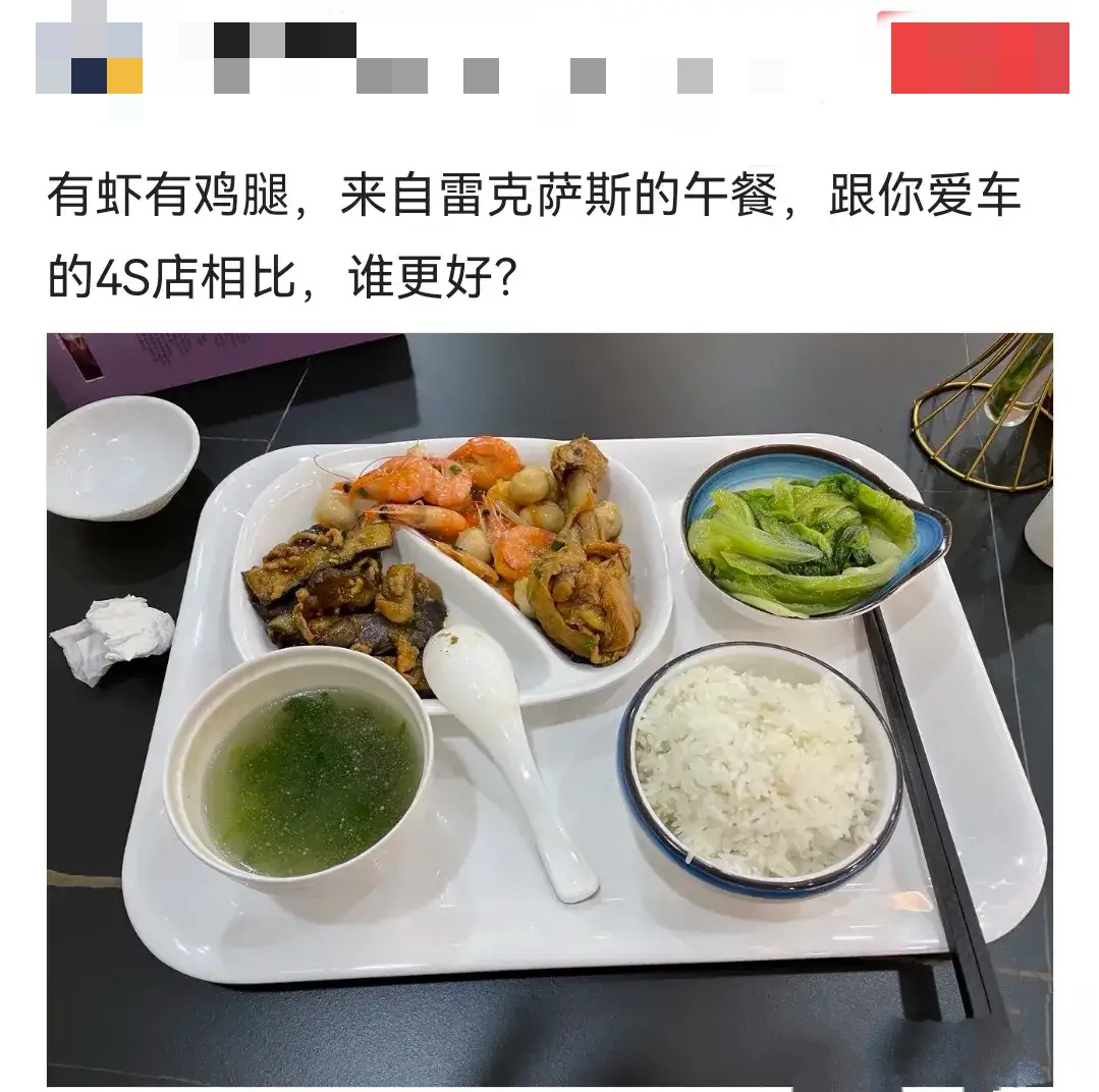 奔驰4儿子午餐vs 雷克萨斯4儿子午餐.想看看您四儿子的午餐啥样?