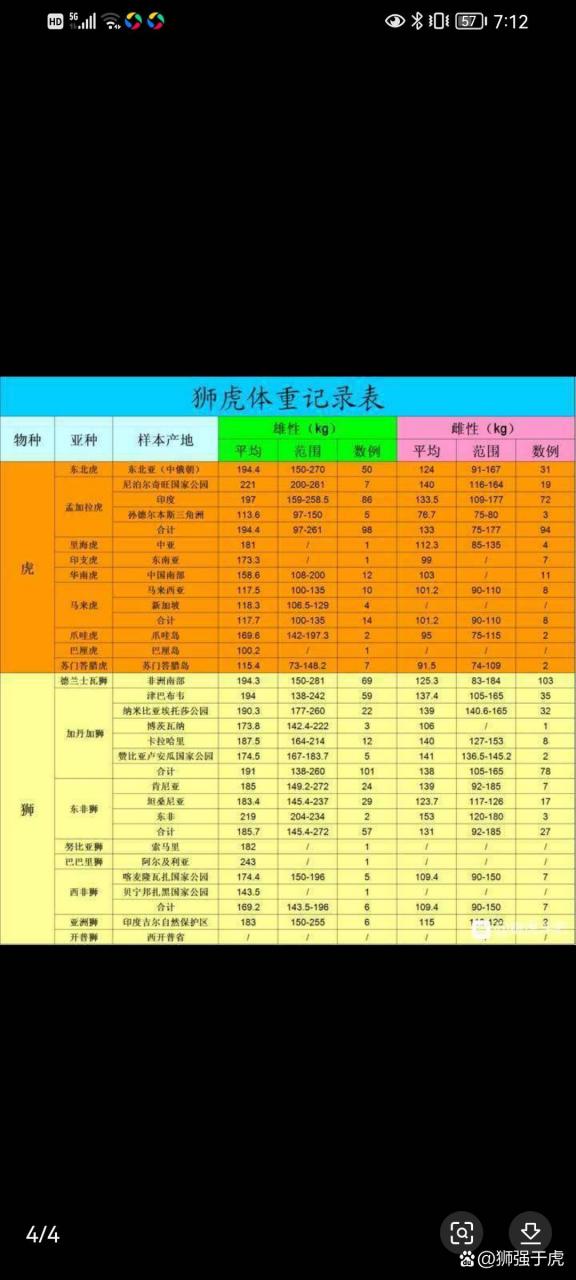 老虎记录卡三年级下册图片